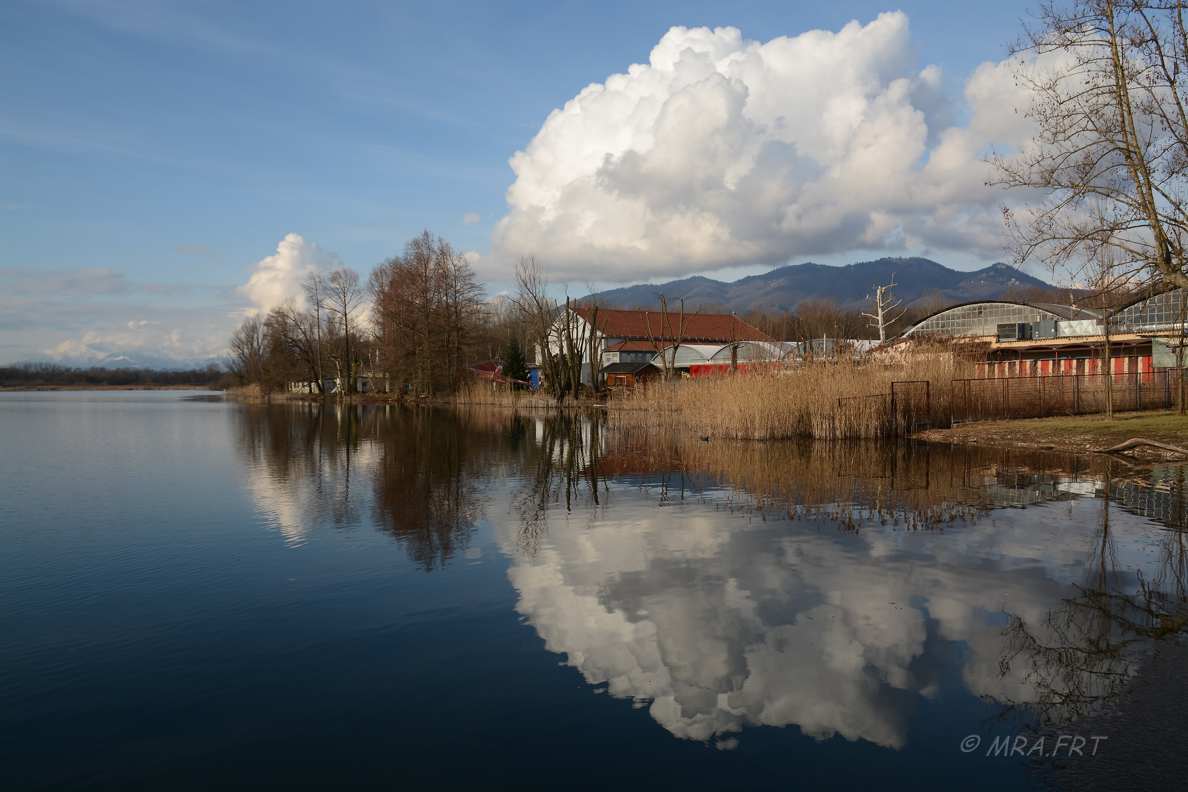 Lago di Varese -Riflessi