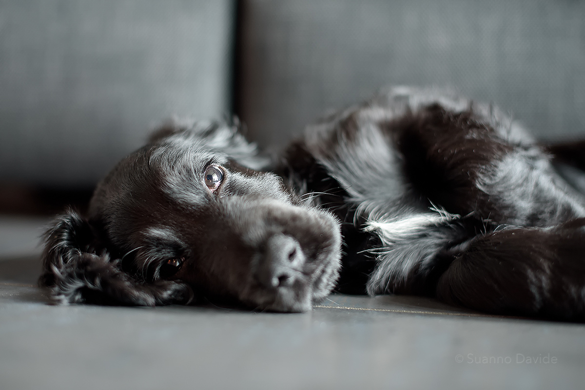 My brother's friend Dziga