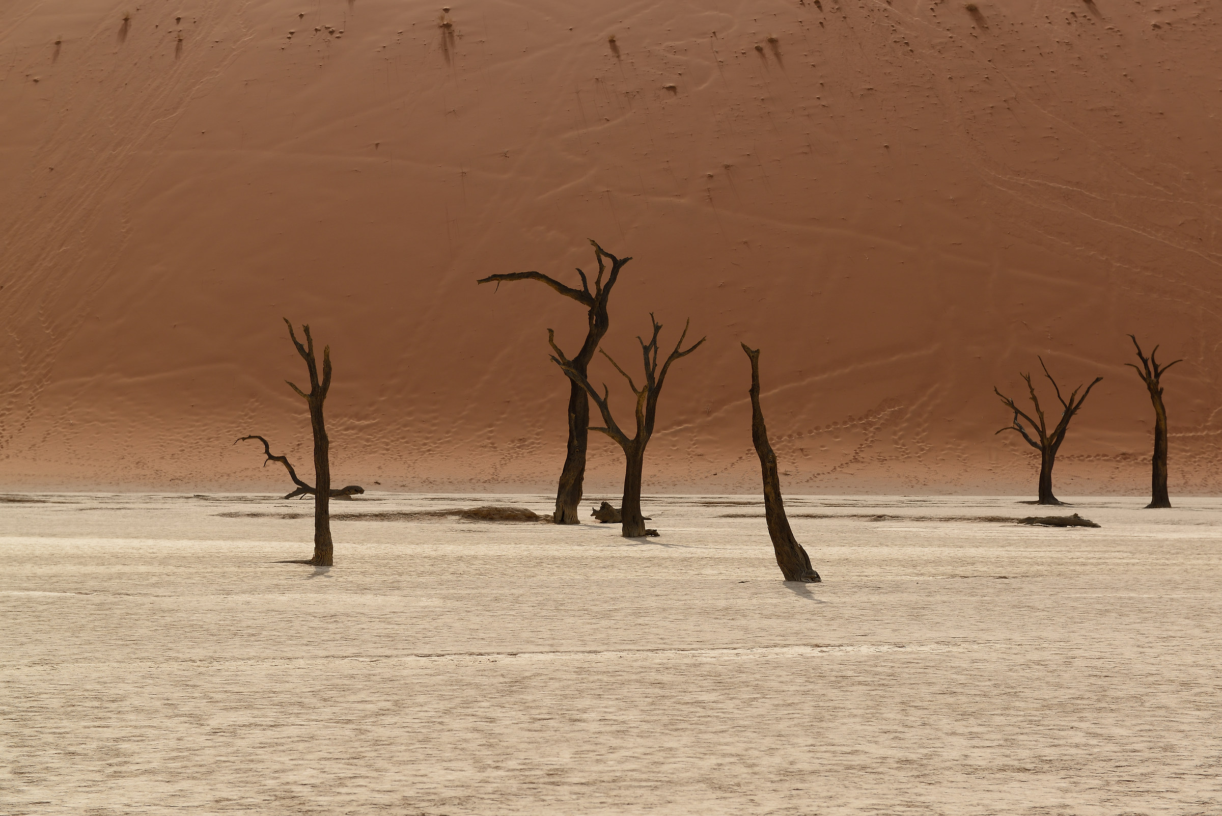 Namibia: deadvlei