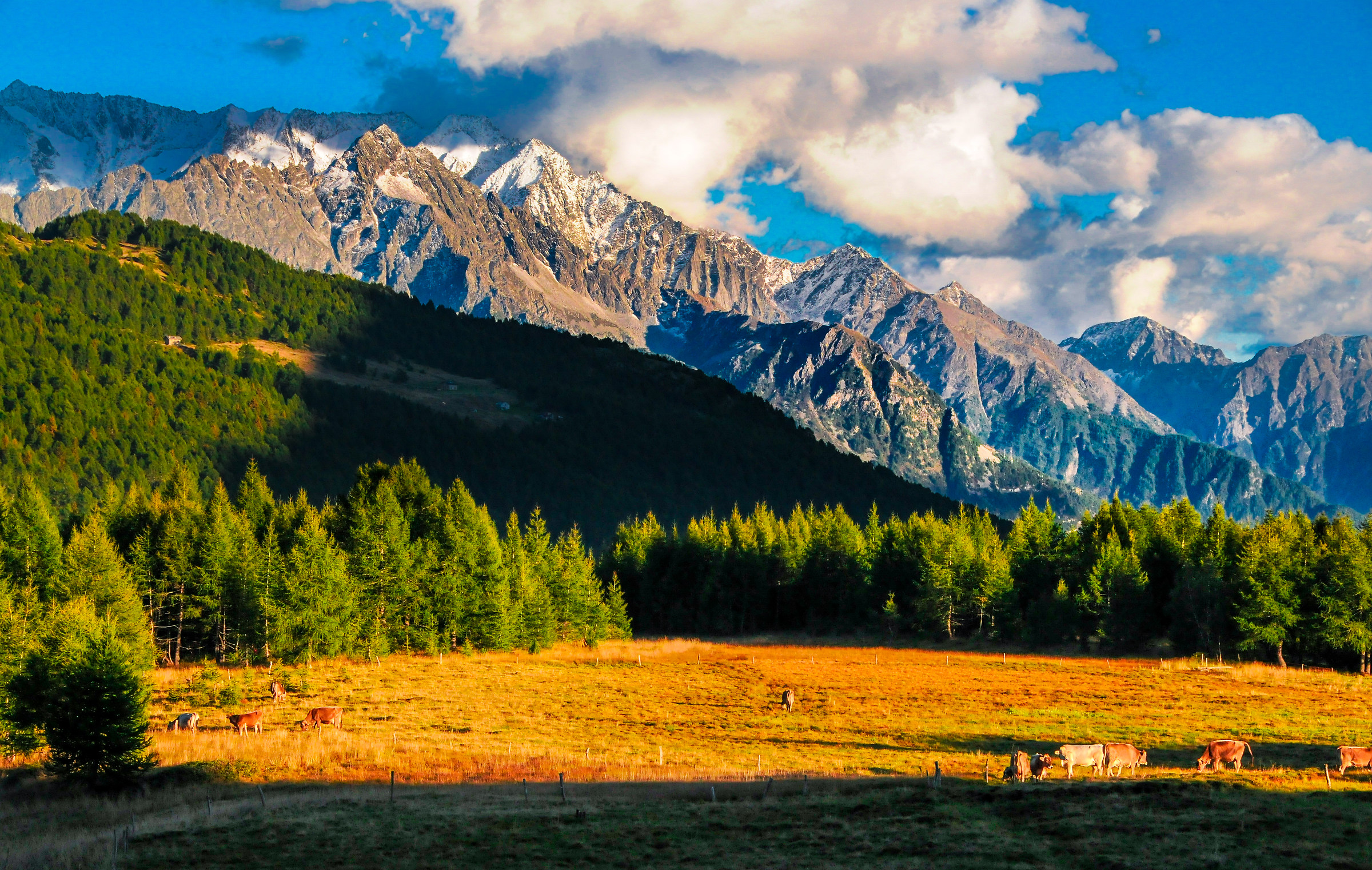 Quiet September as the plain of the Mortirolo