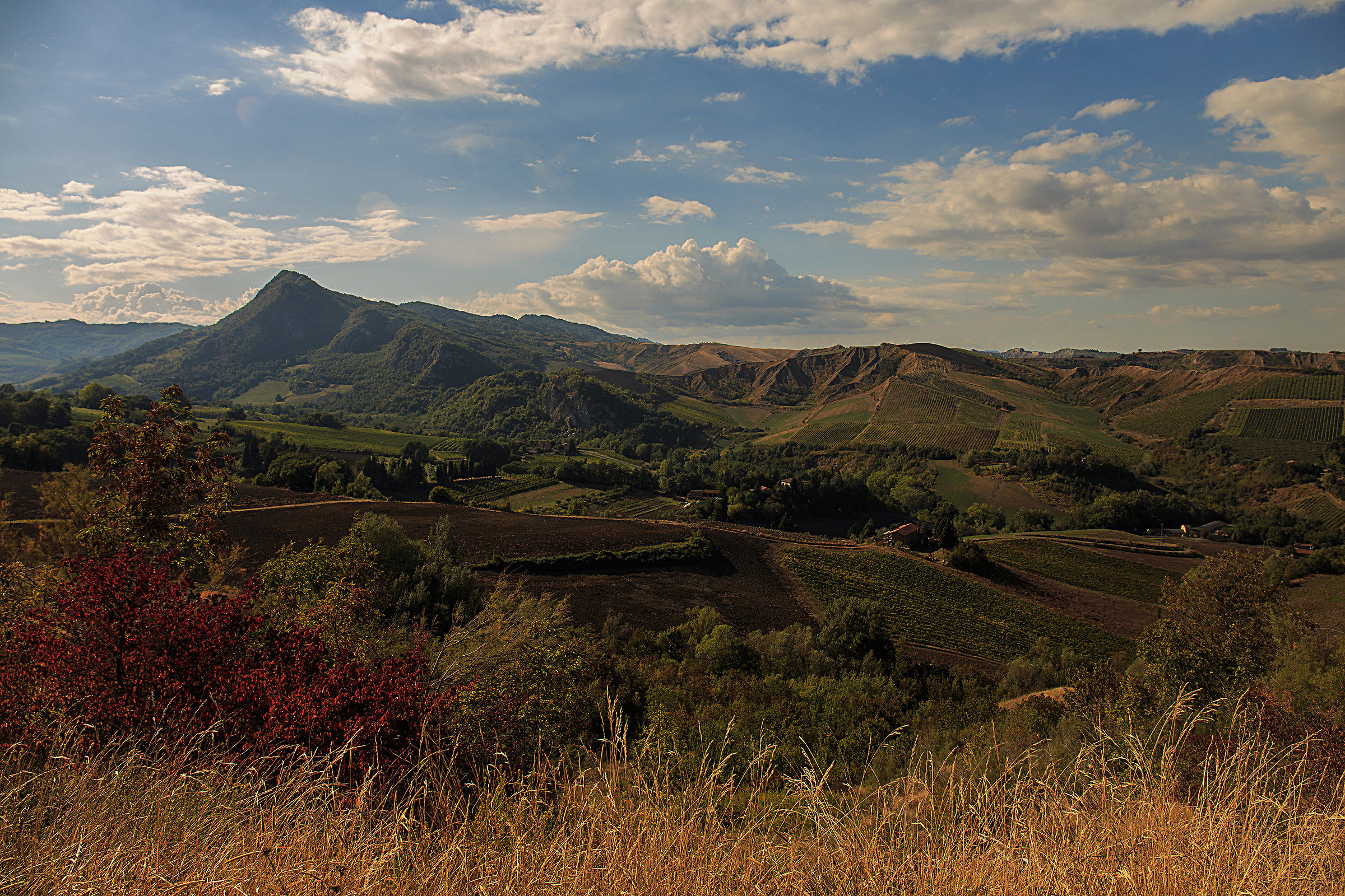 Appennino romagnolo