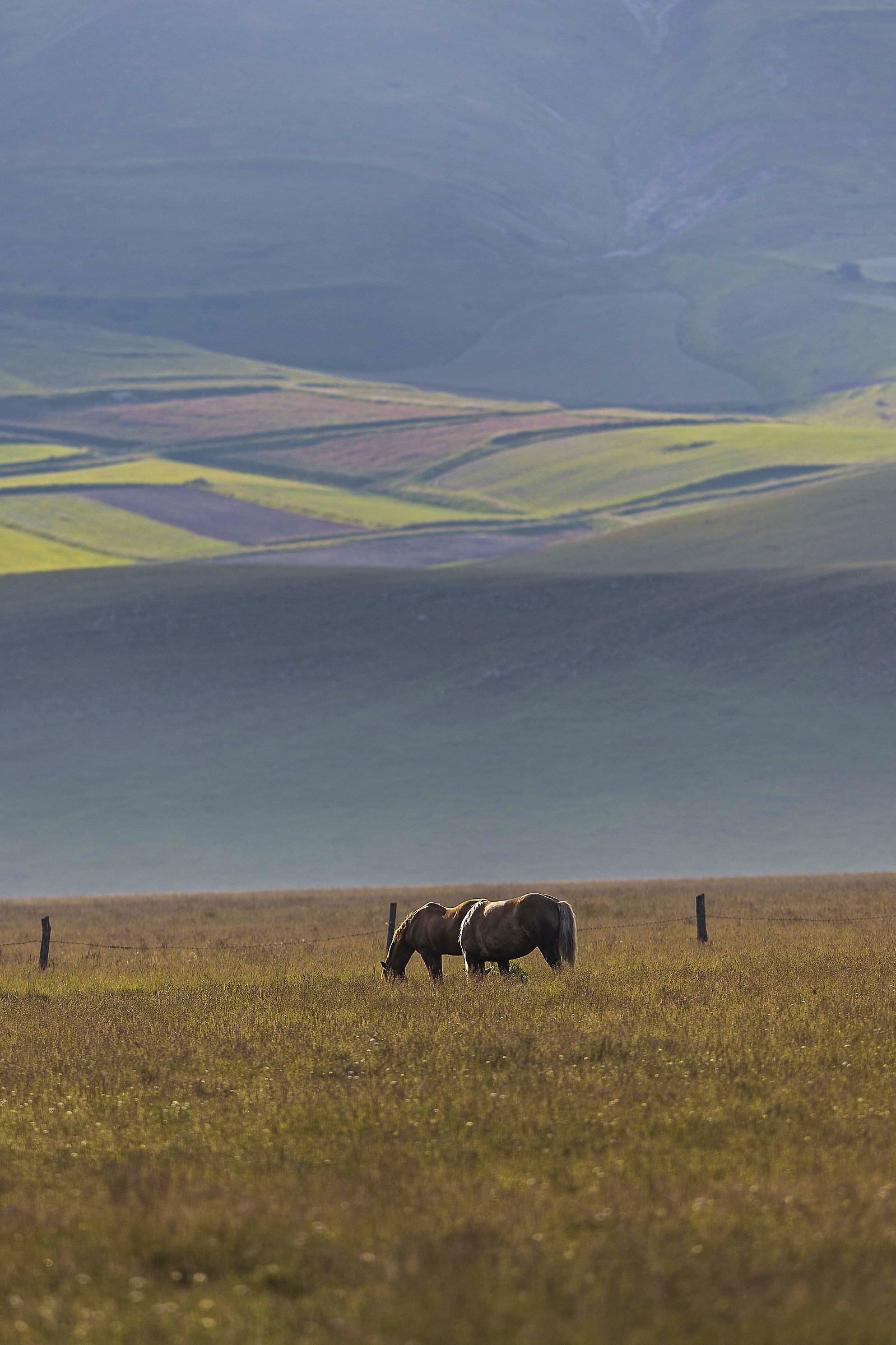 Castelluccio