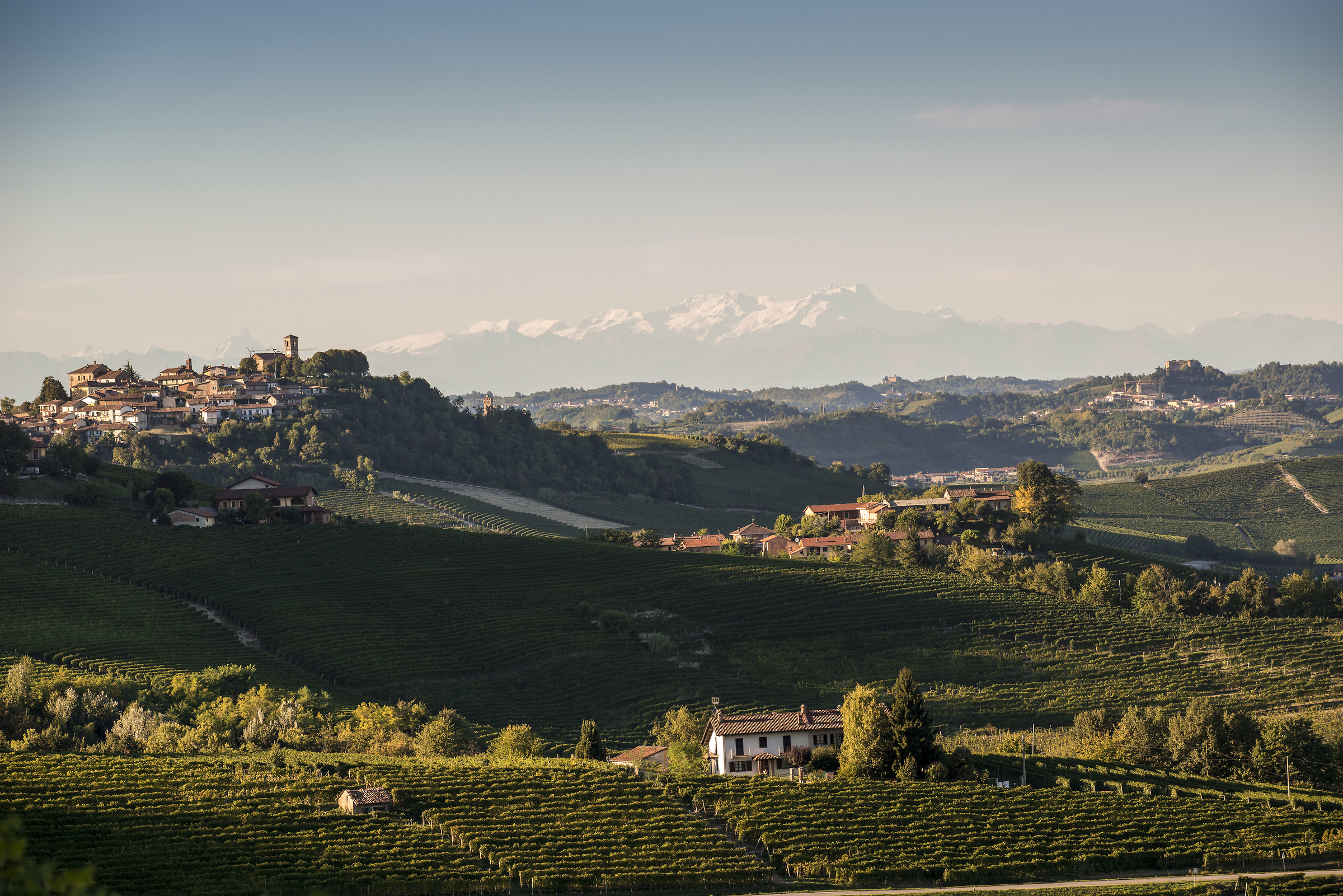 dalle vigne al Monte Rosa!