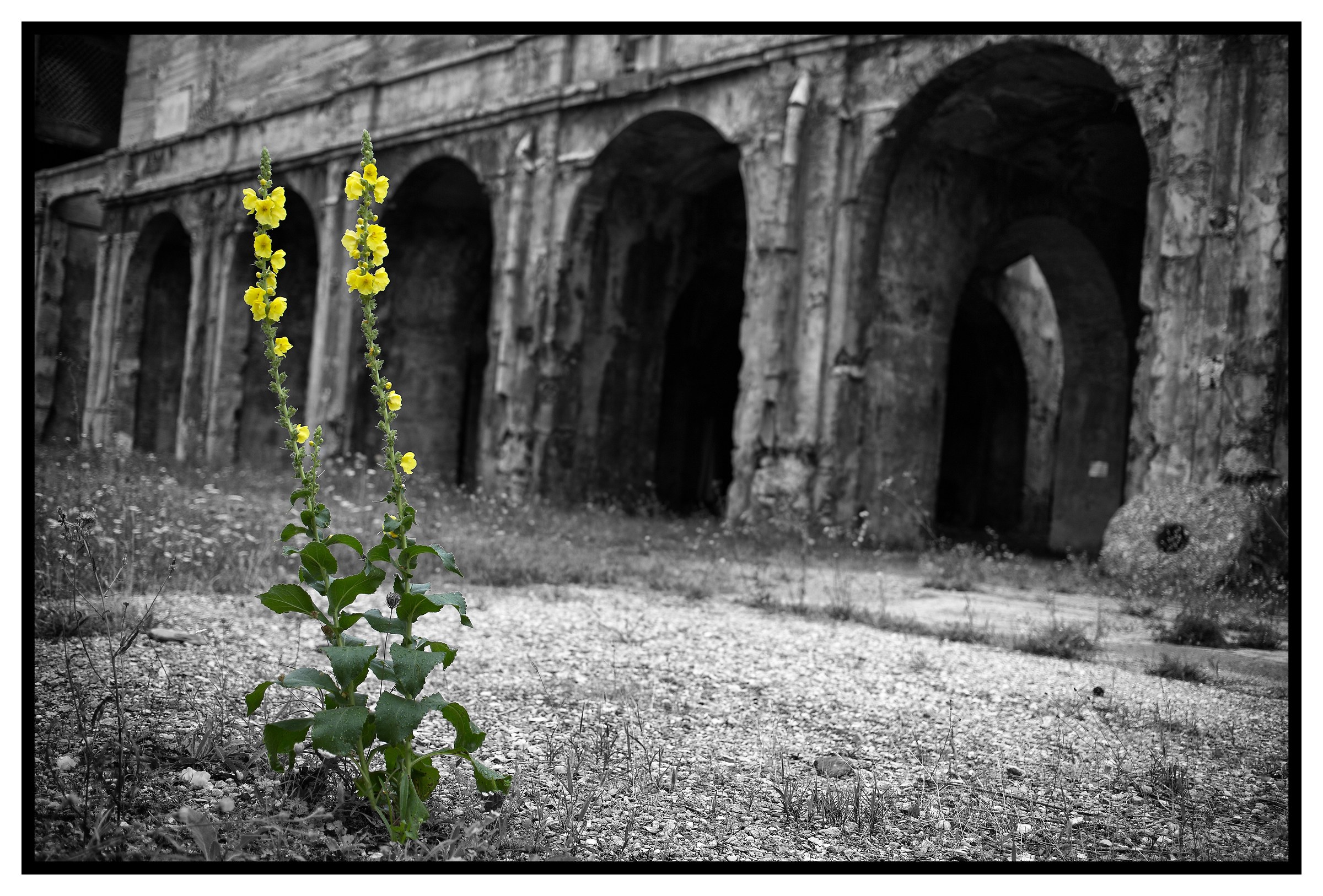 Ex cementificio: tempus fugit...