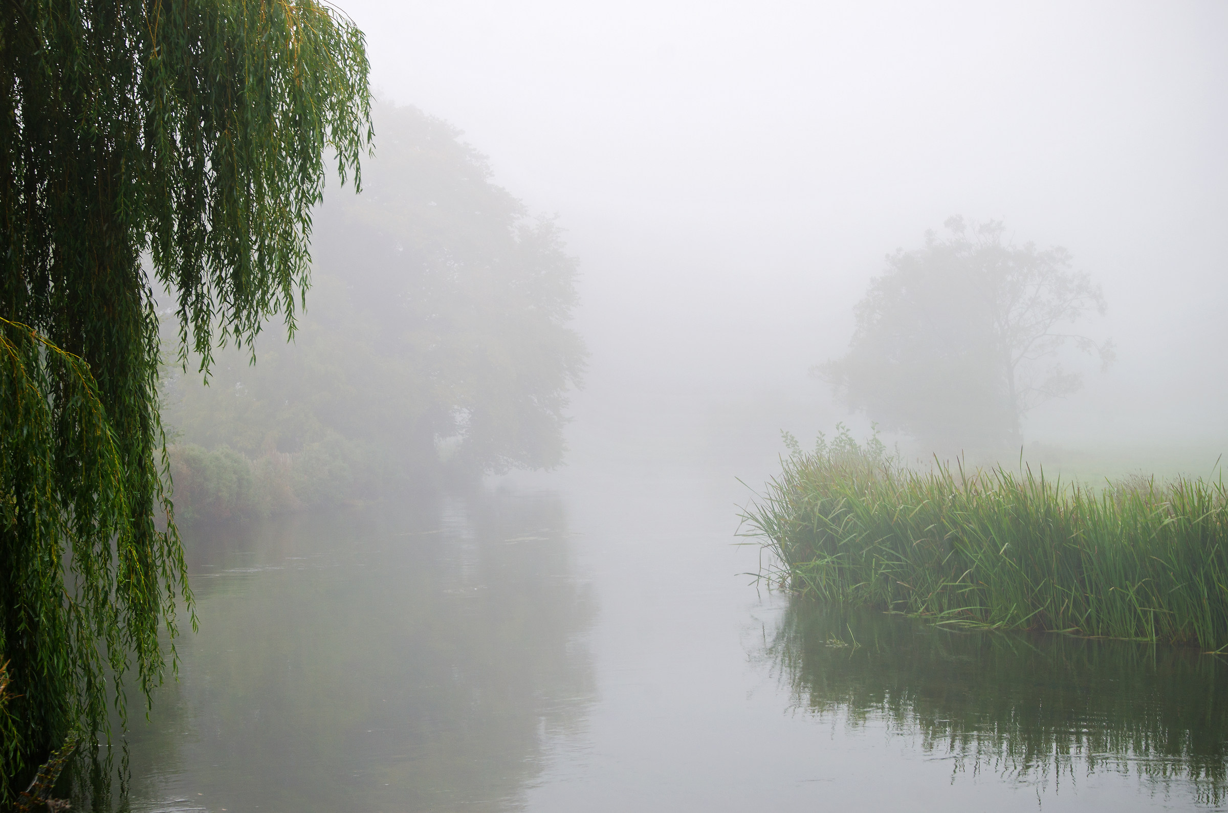 Foggy inglese River Bank