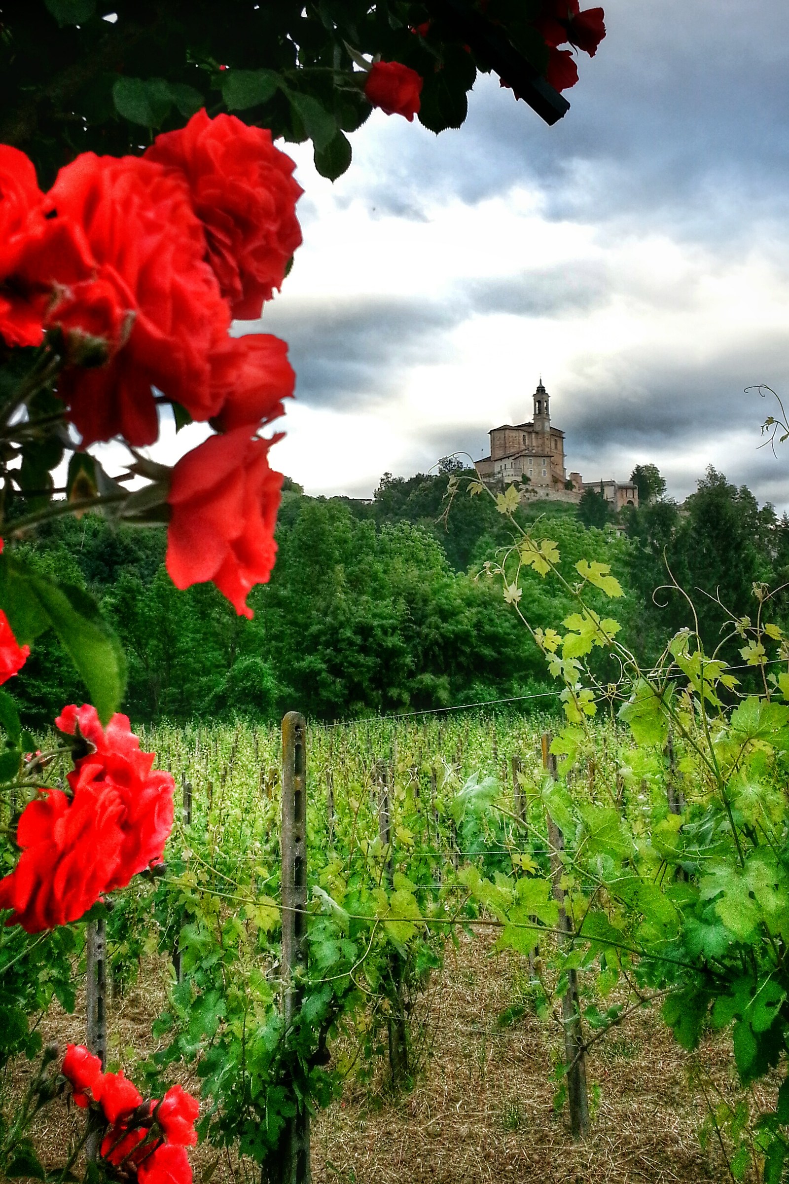 Torricella Verzate Clouds