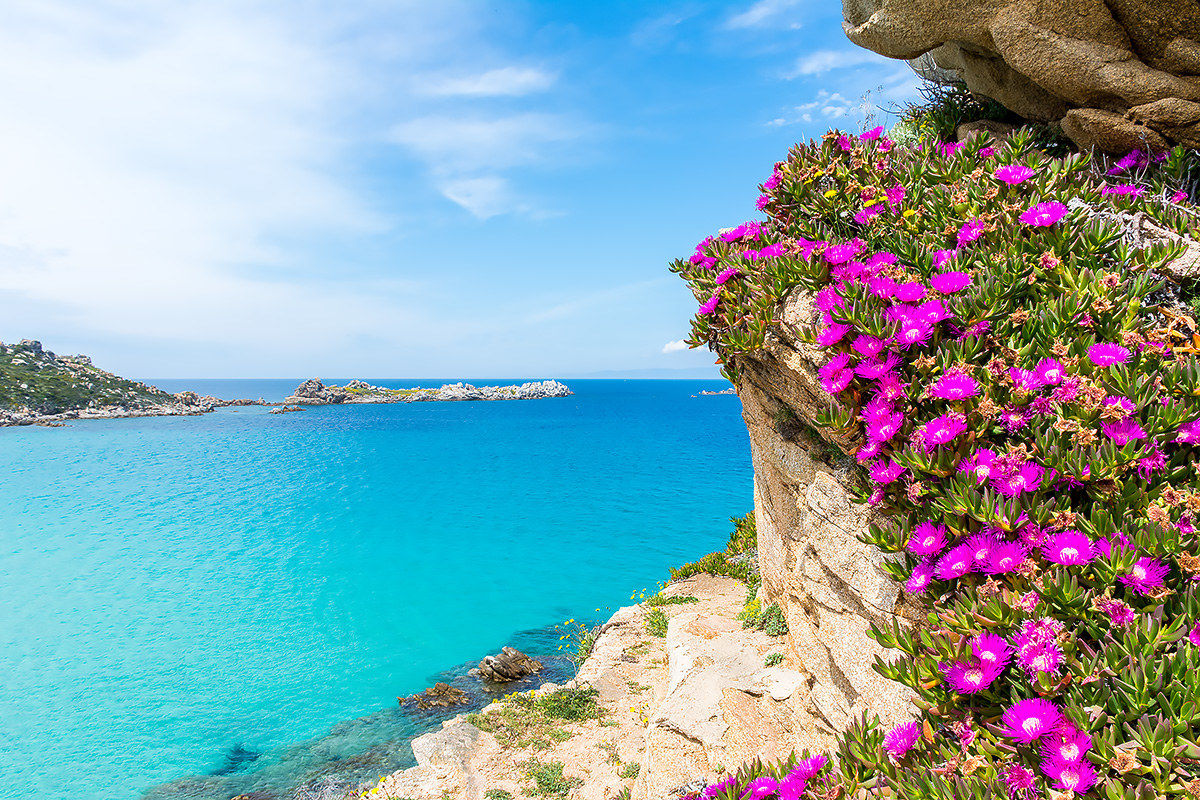 Spring flowering in Santa Teresa di Gallura