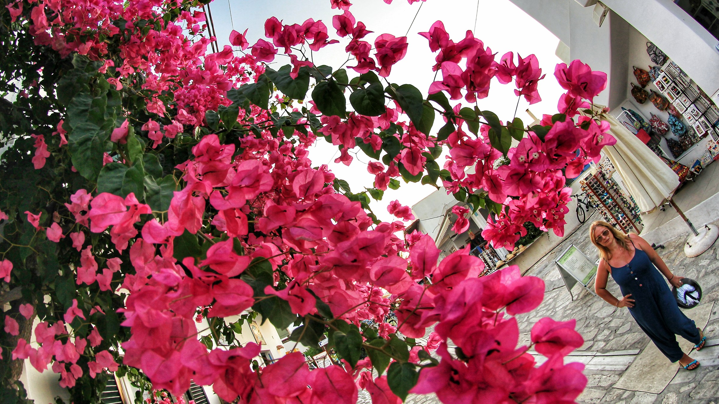 Susy and the Flowers