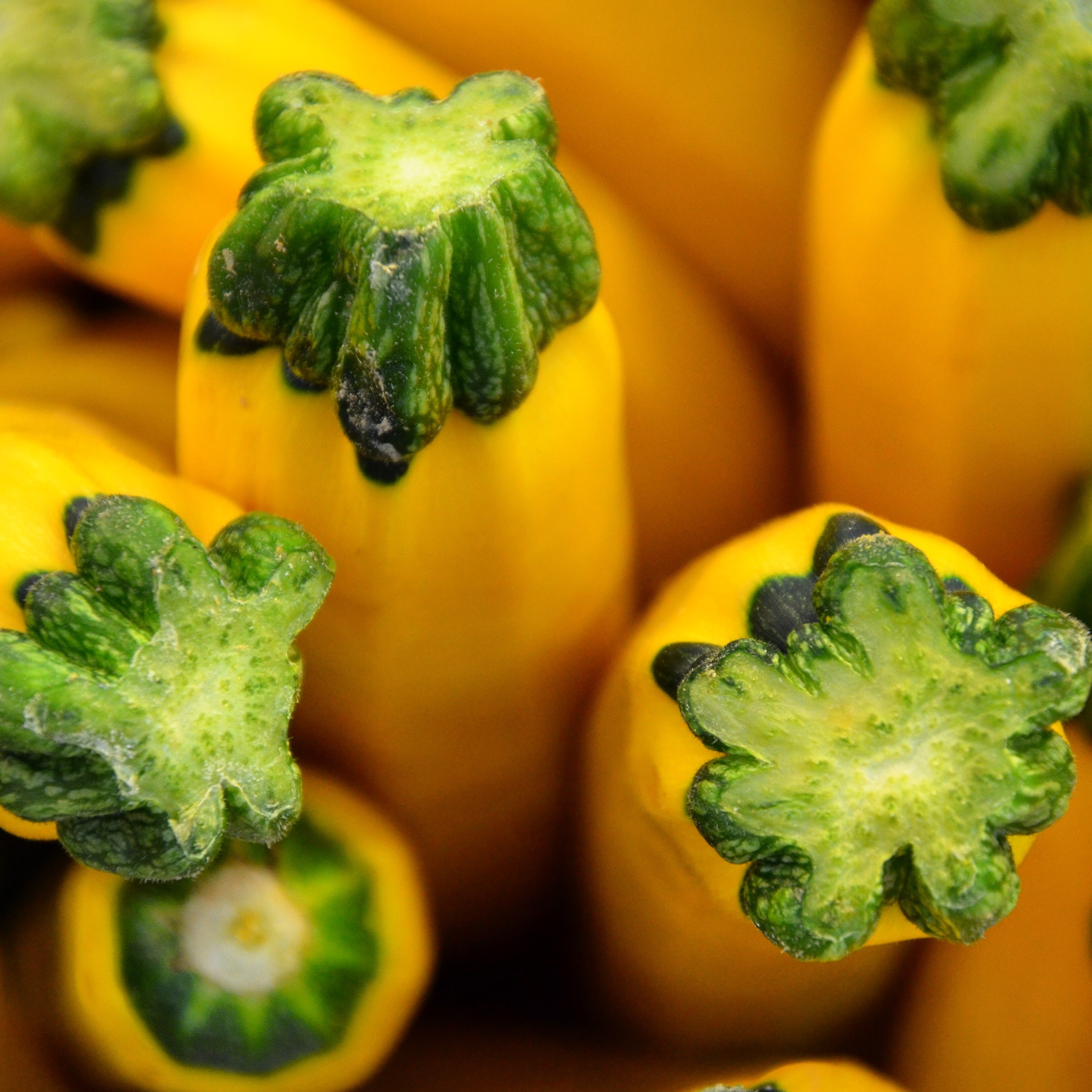 Yellow zucchini