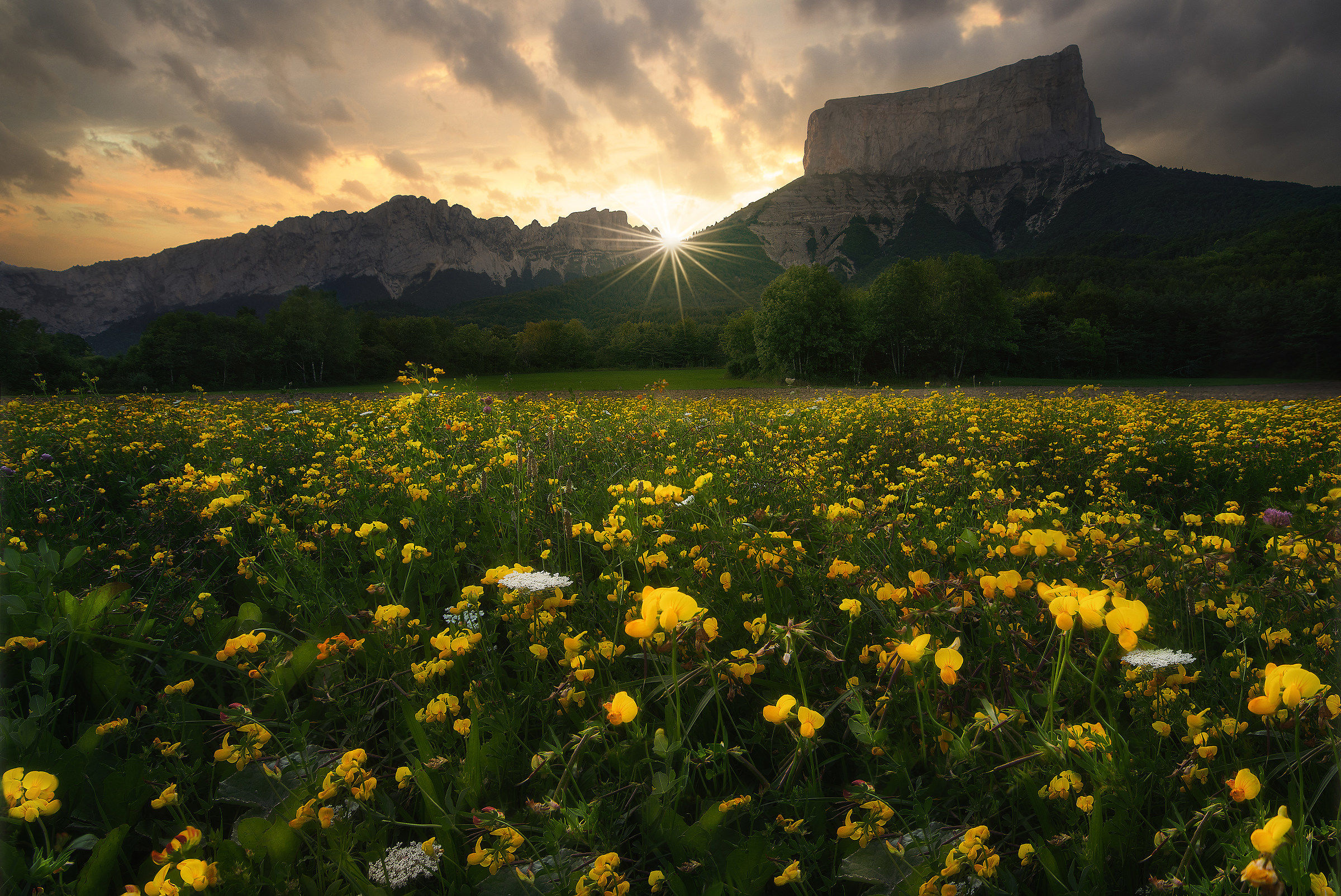 Good bye mr. Aguille