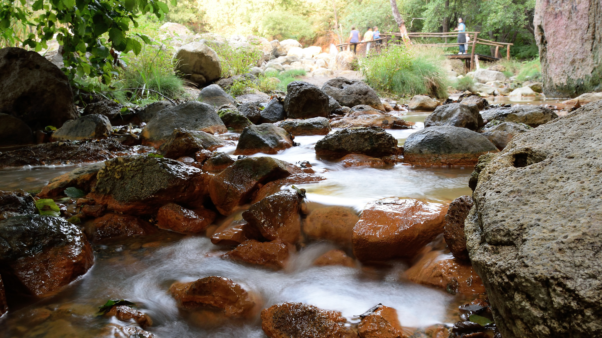 Fosso del Bicione (Canale Monterano)