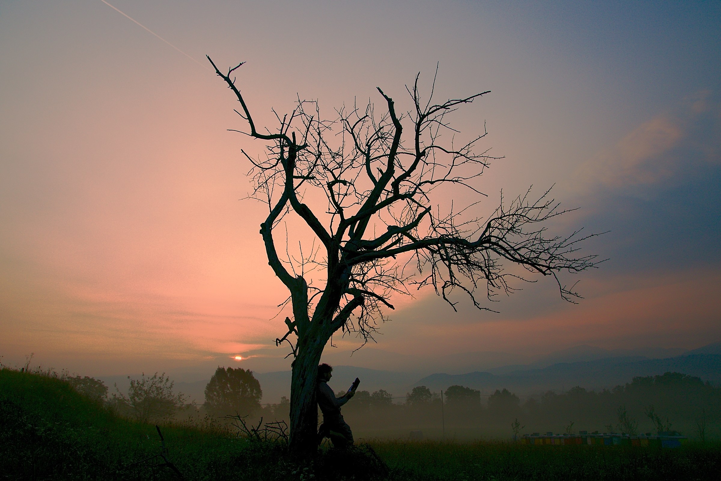 Doing what you love is libertà.Amare you do is happin...