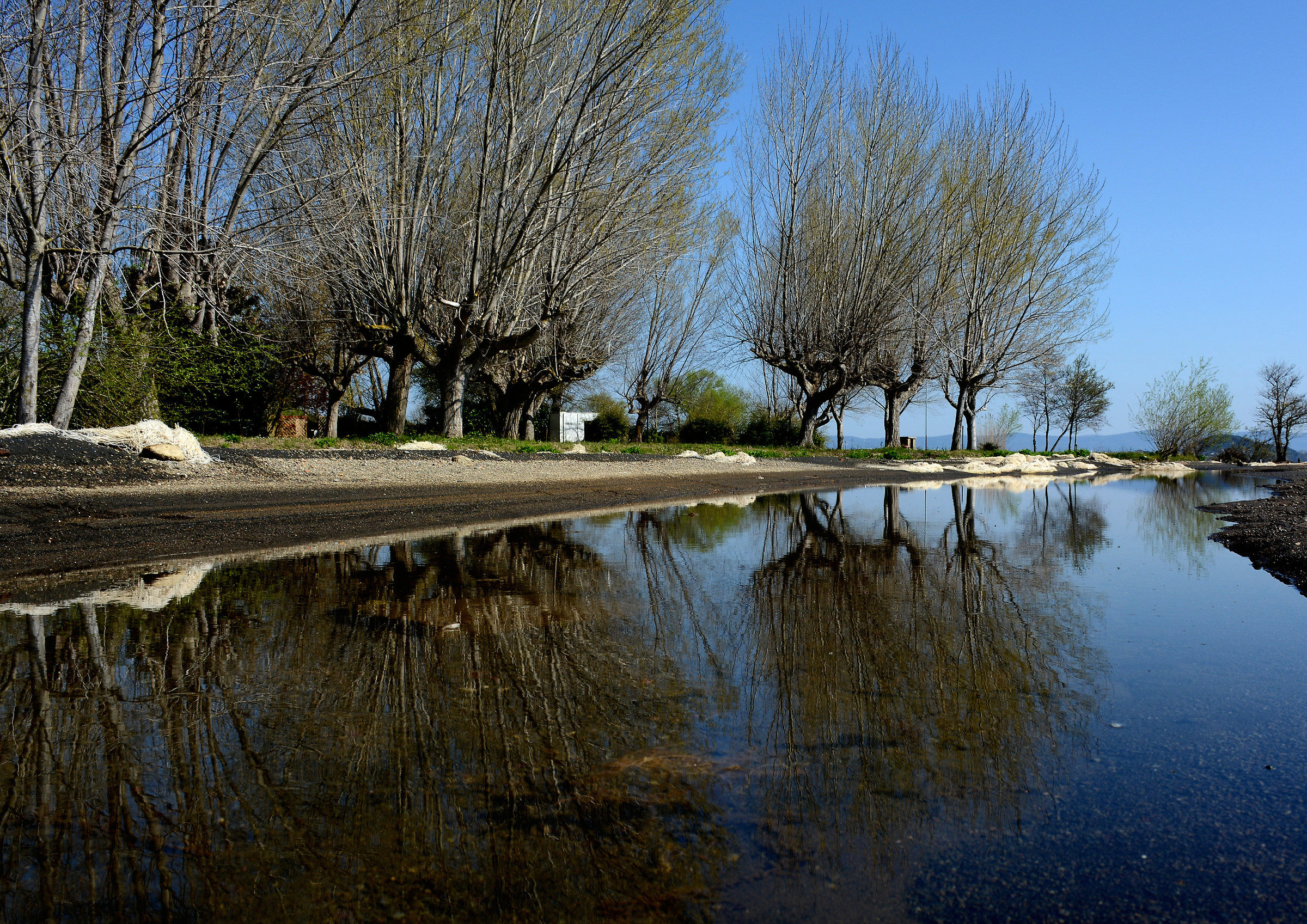 Lago di Bolsena: Riflessi