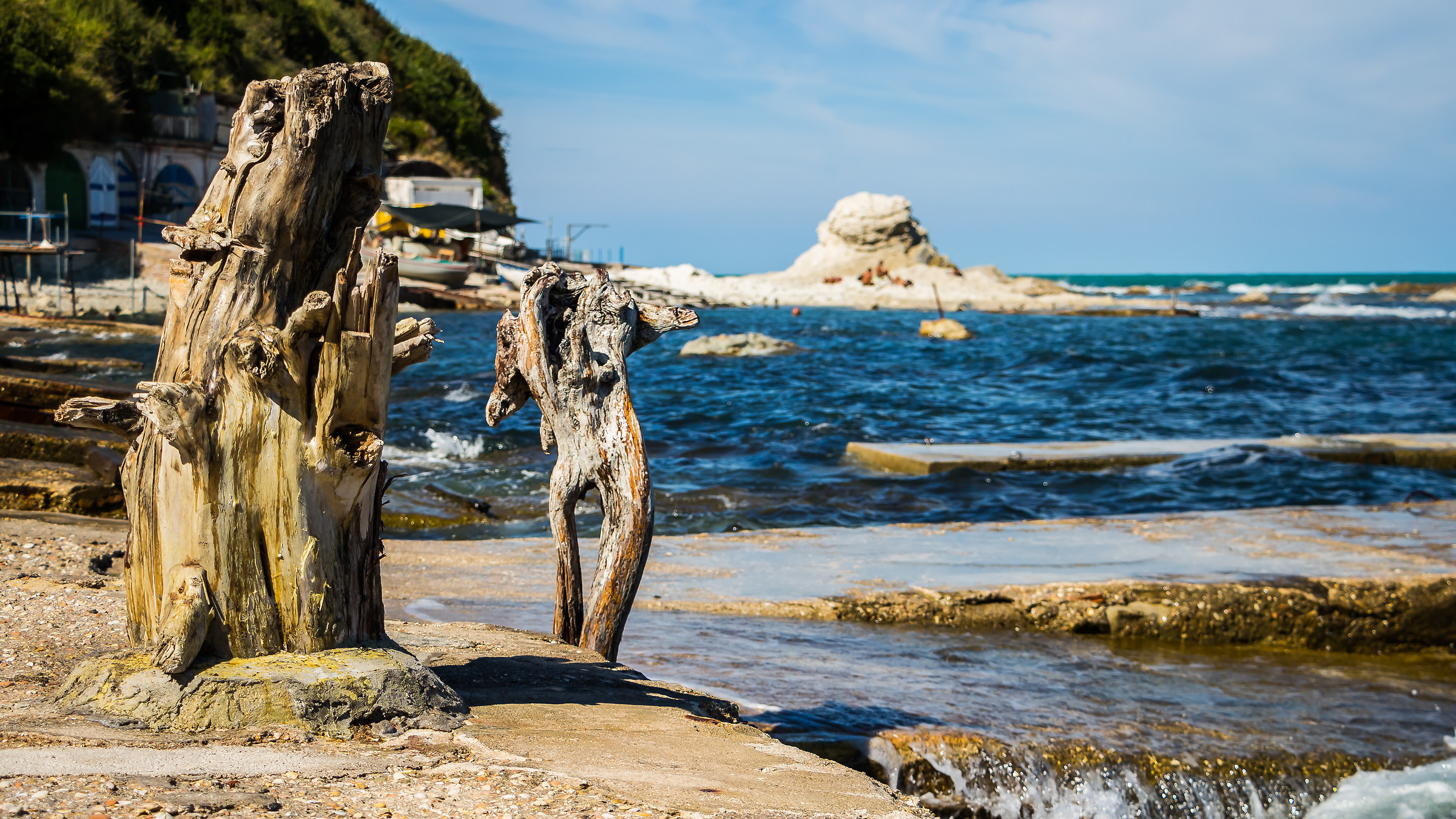 Old trees in concrete