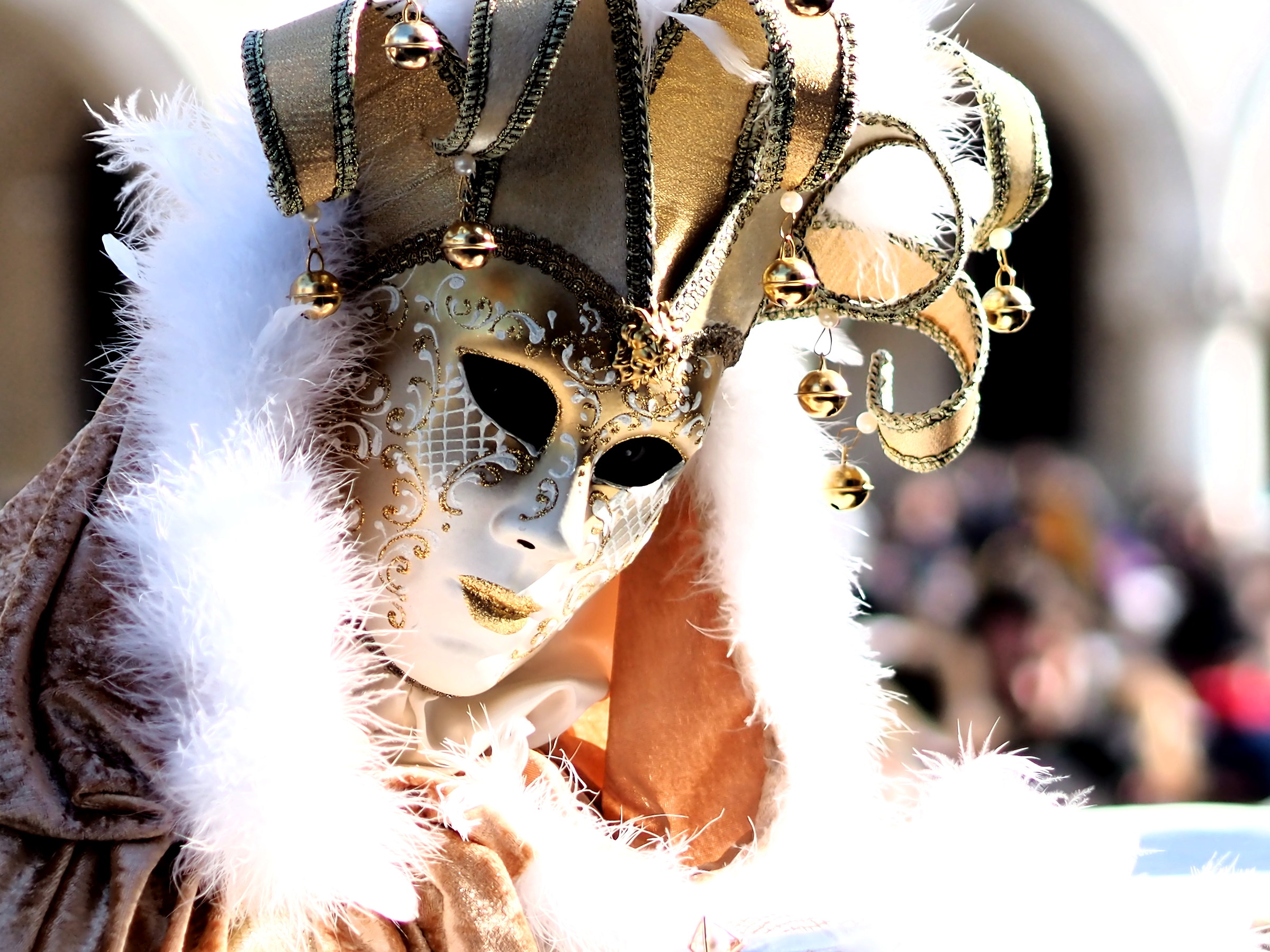 Carnevale di Venezia 3