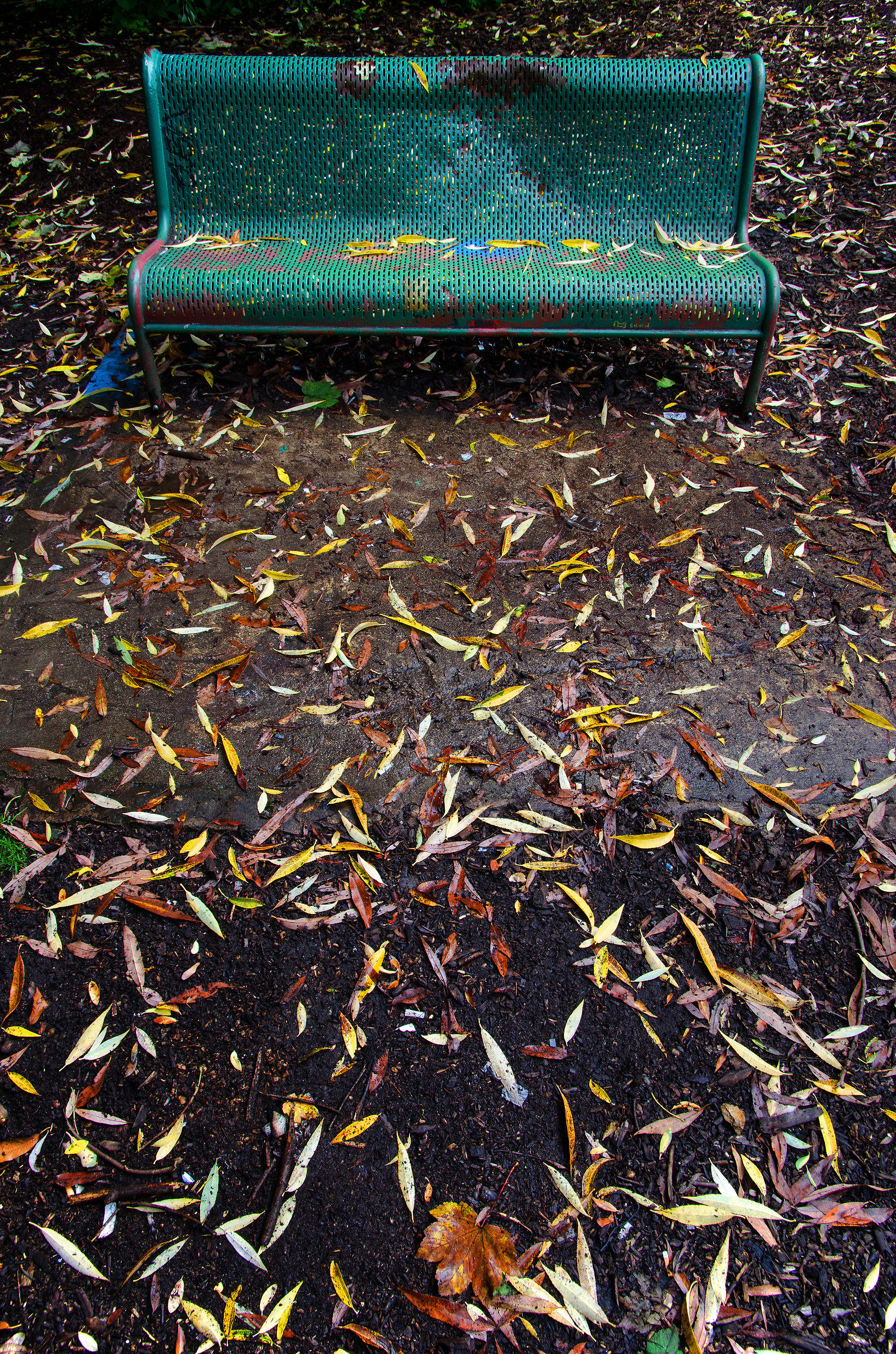 Wet Painted Metal Seat in the Park
