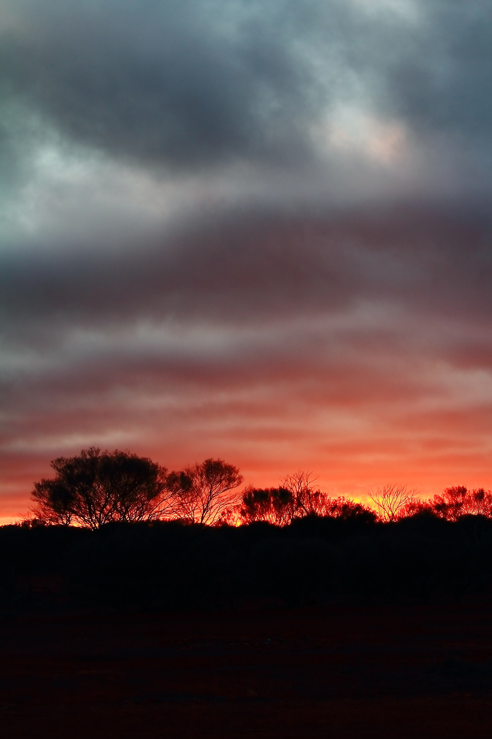 Outback Sunrise - Marla