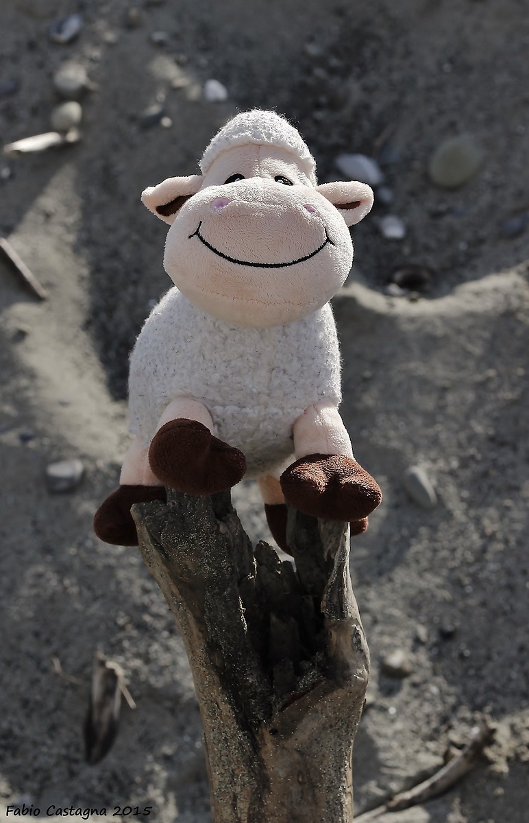 Allivia, l'amica di mio figlio