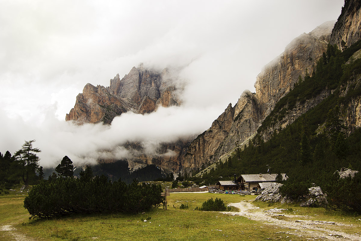 Untitled Photo