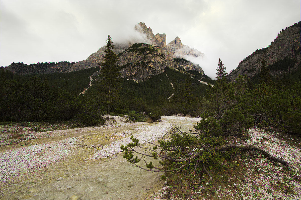 Untitled Photo