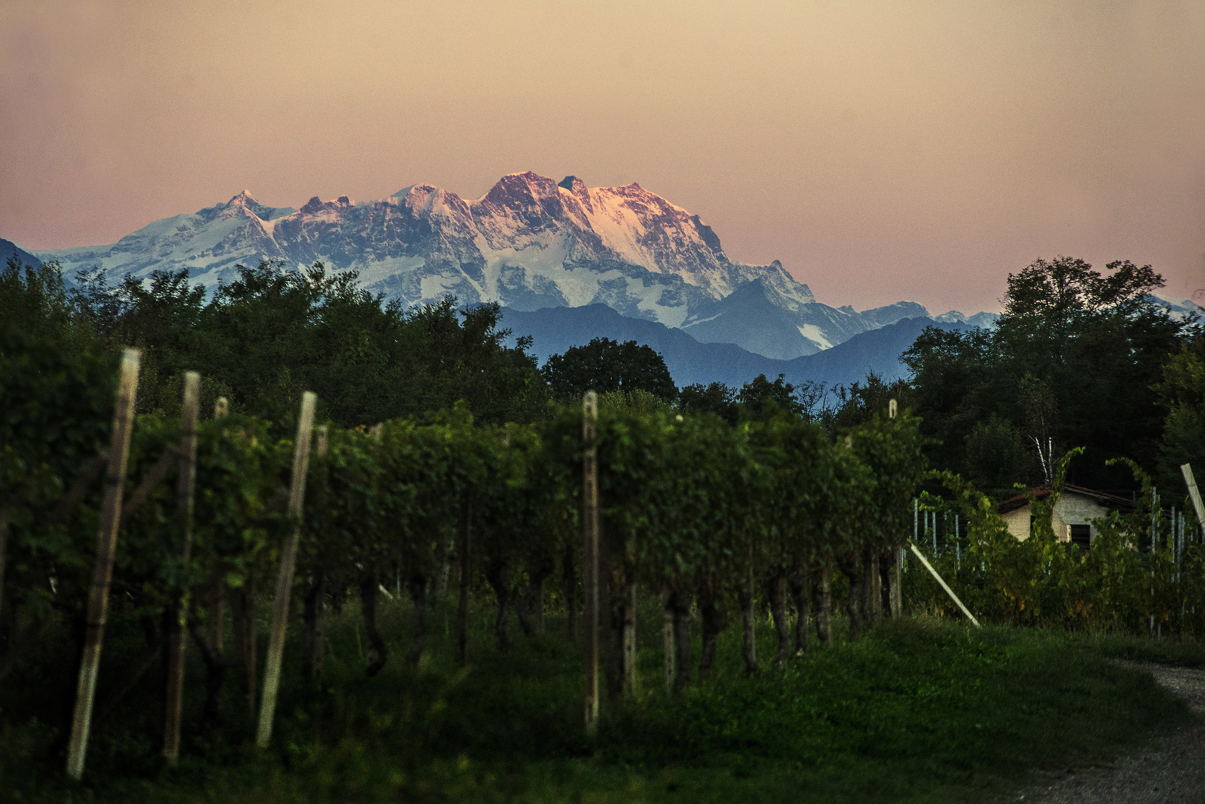 Il primo sole sul Monte Rosa, in tempo di vendemmia