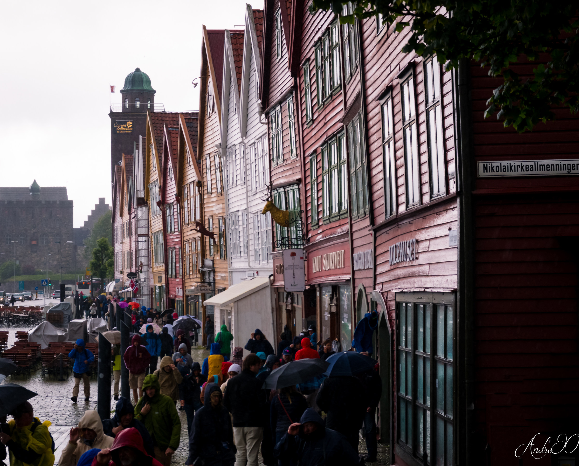 Bergen