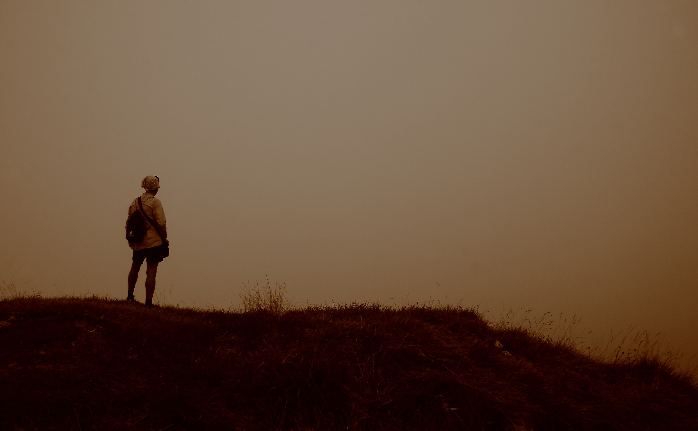 the future of a male