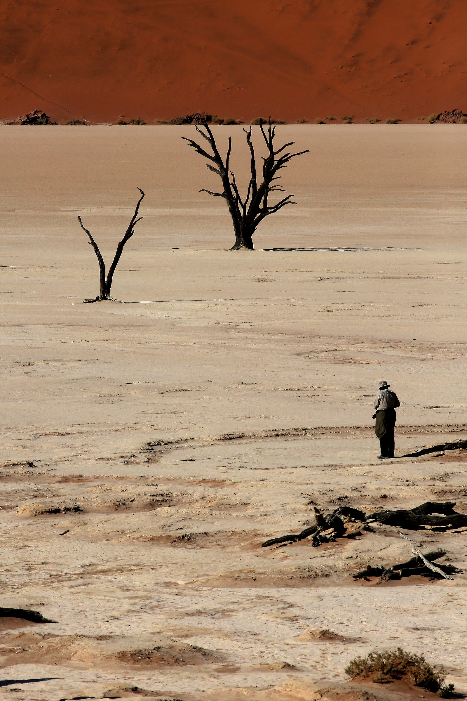 namibia 2015