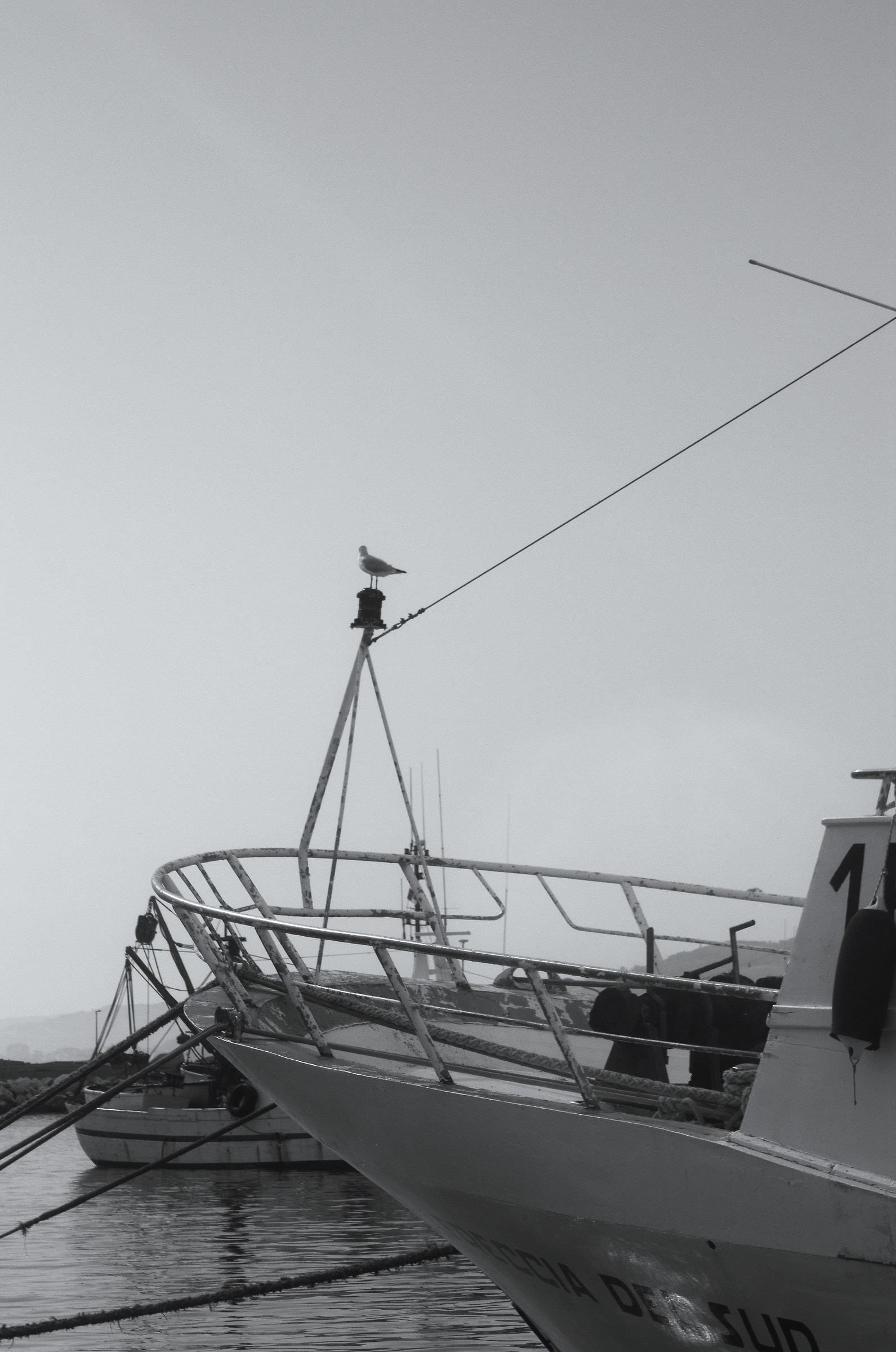 fine estate a giulianova