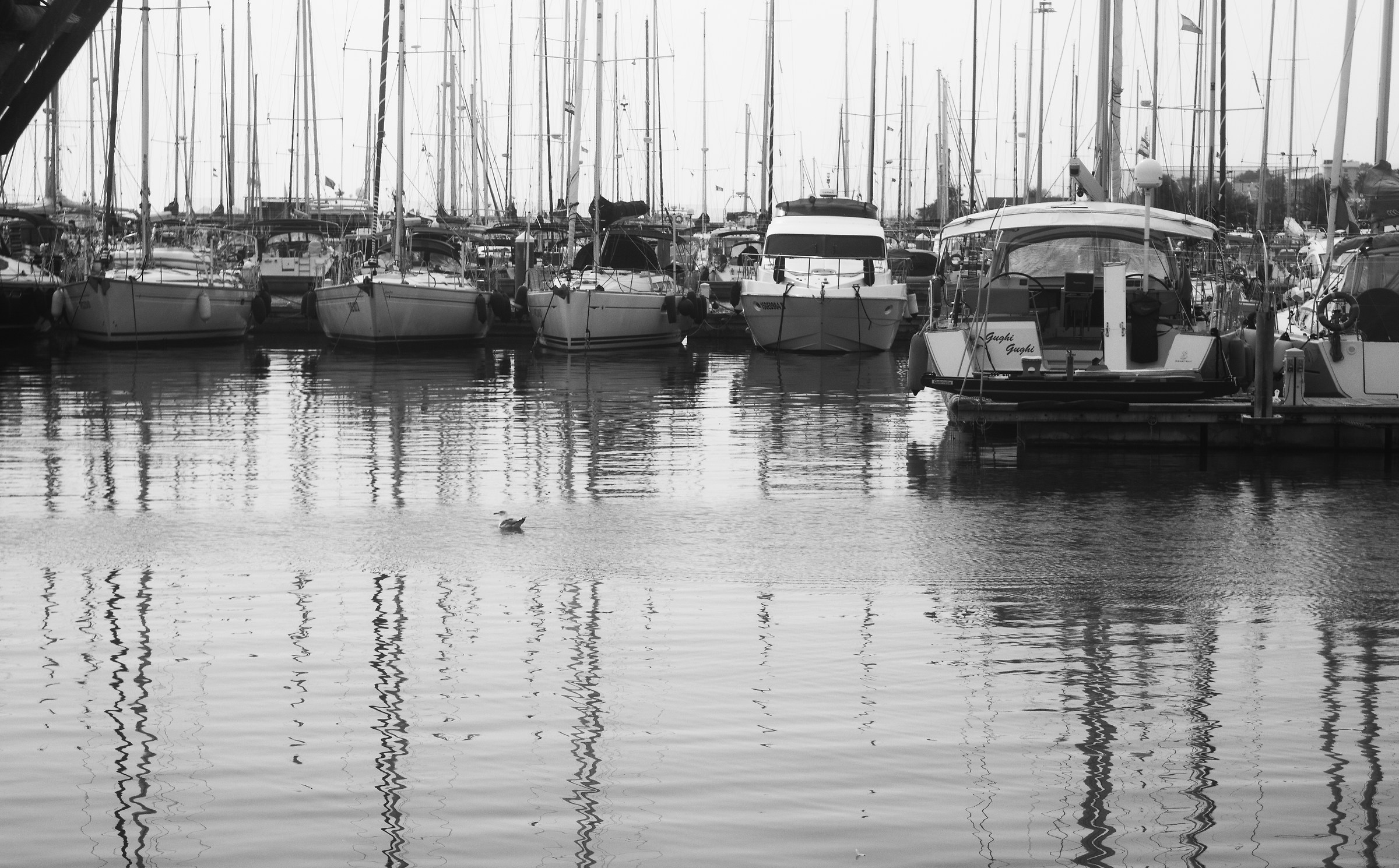 fine estate a giulianova