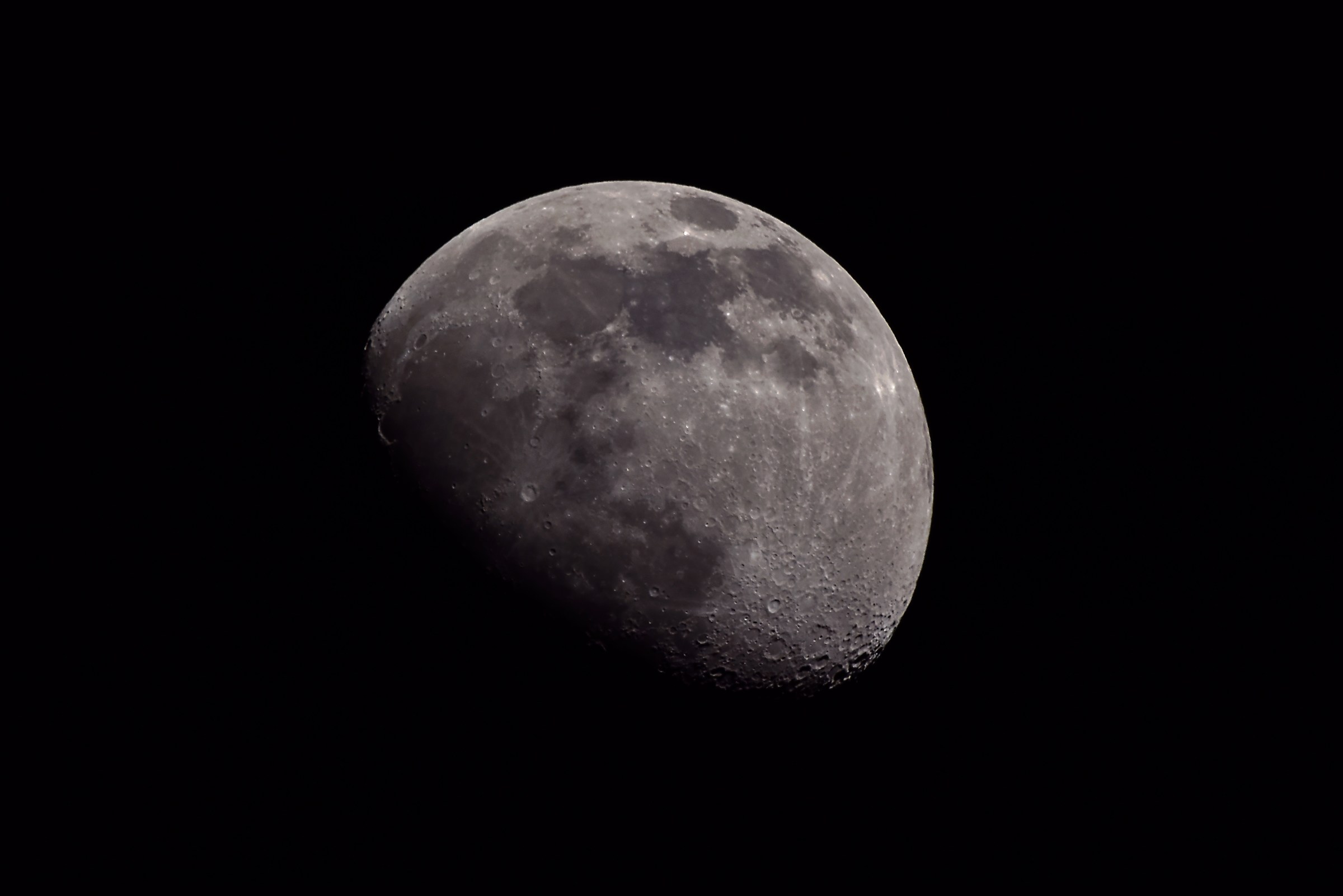 MTO 1100mm  ed anello 1.6x