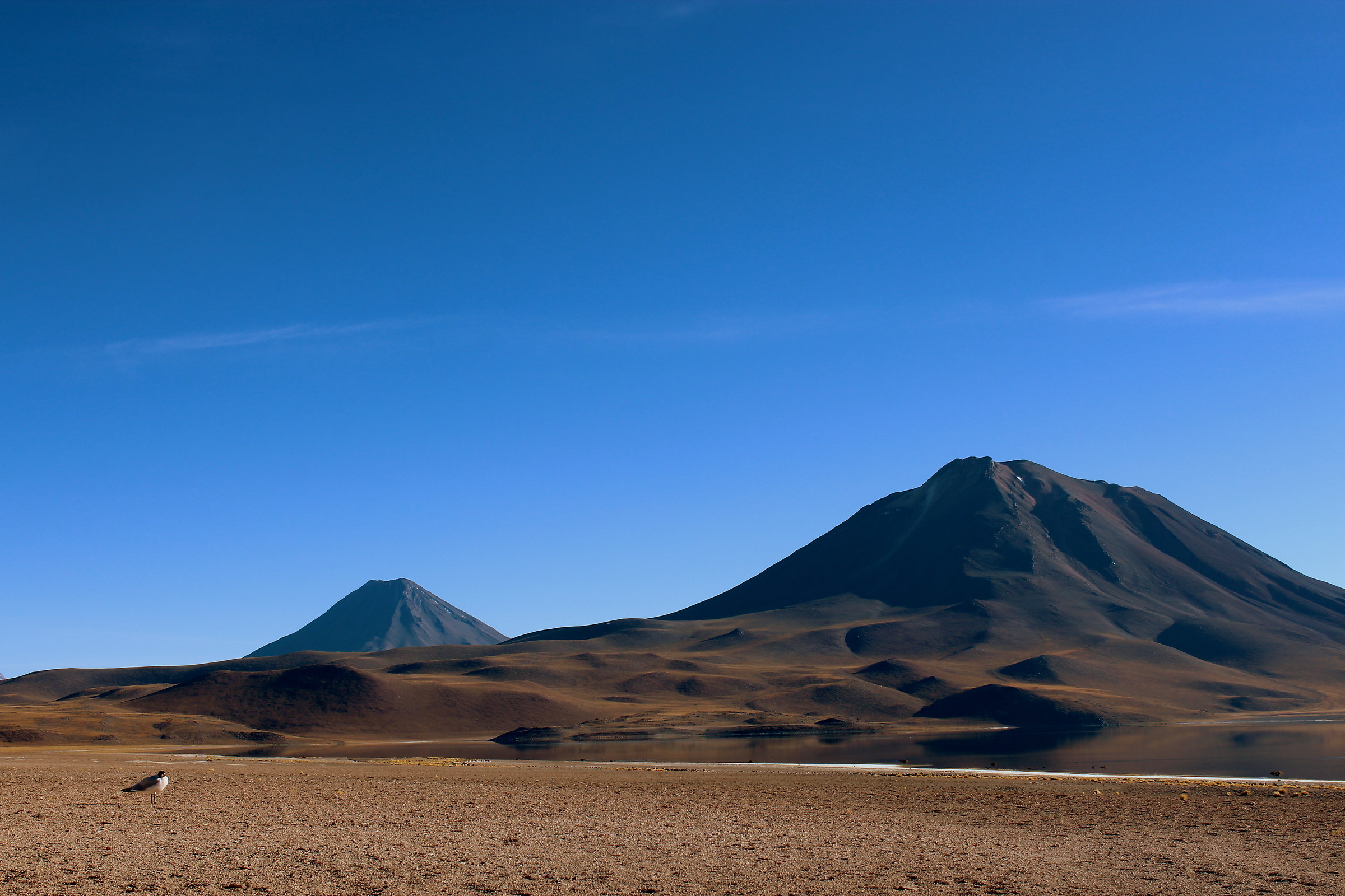Gaviota and Volcanoes