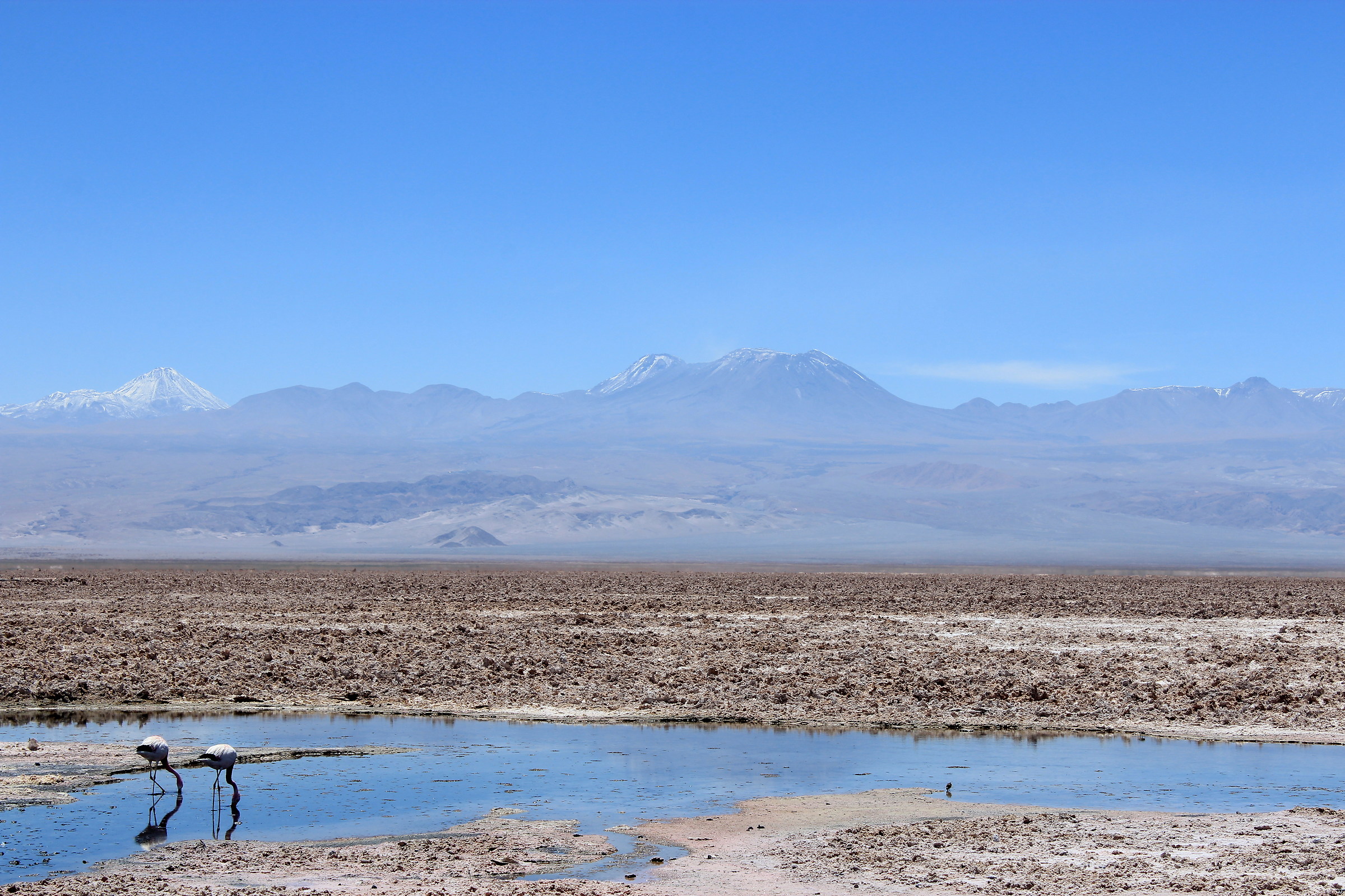 Salar de Atacama