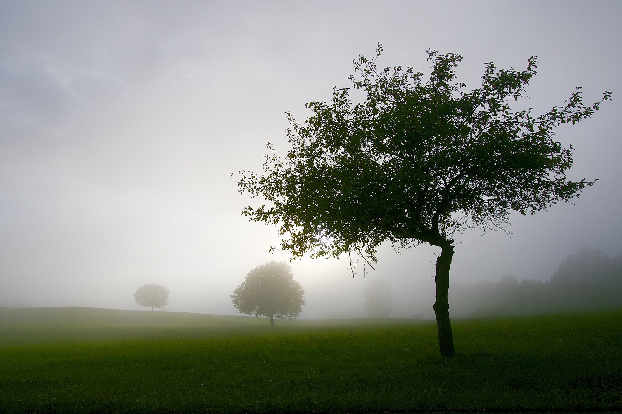 Nothing makes me so happy as to observe nature