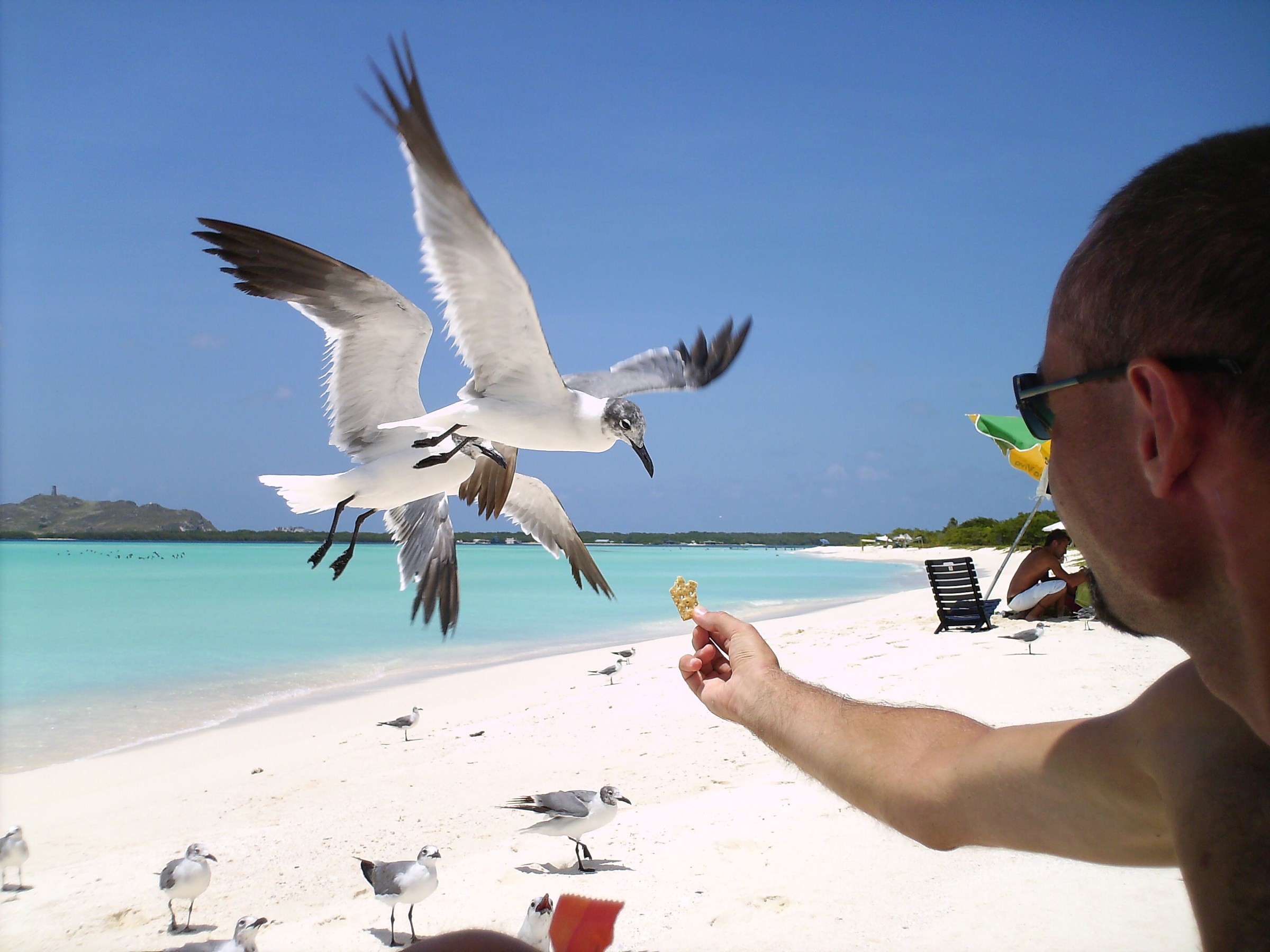 Perseverance and Fortuna