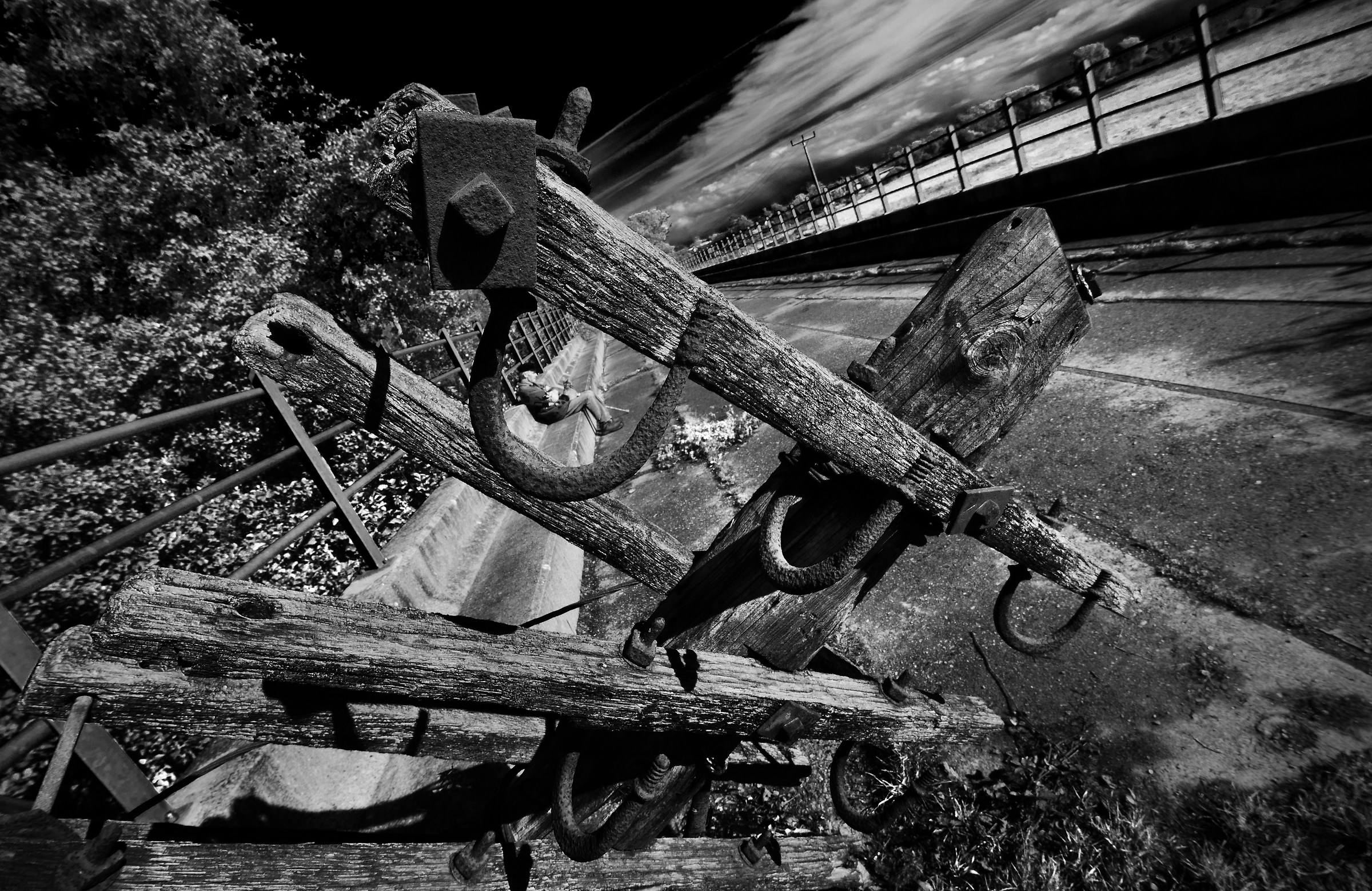 L'uomo anziano riposa con i suoi cani