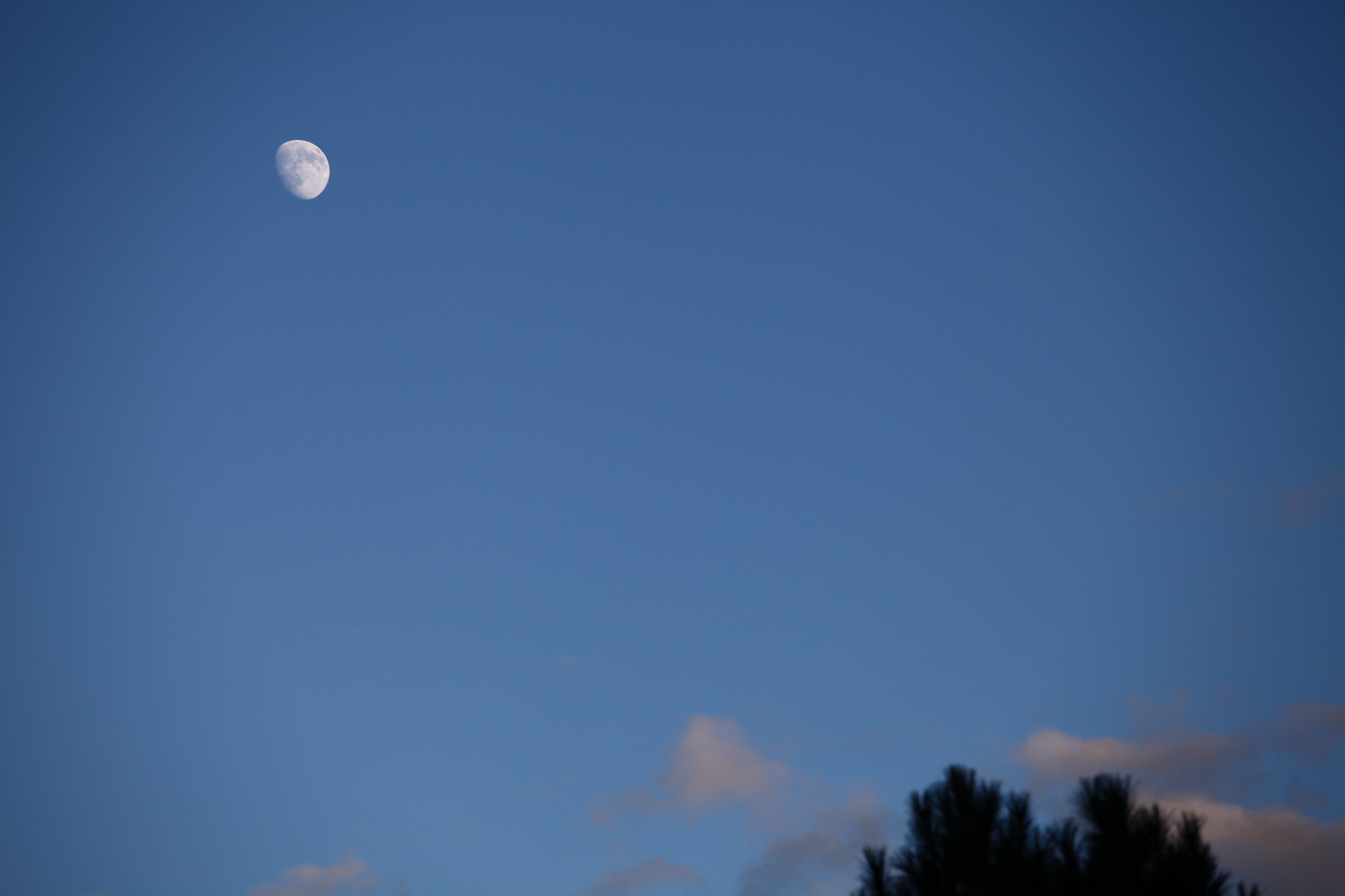 Waiting for the full moon