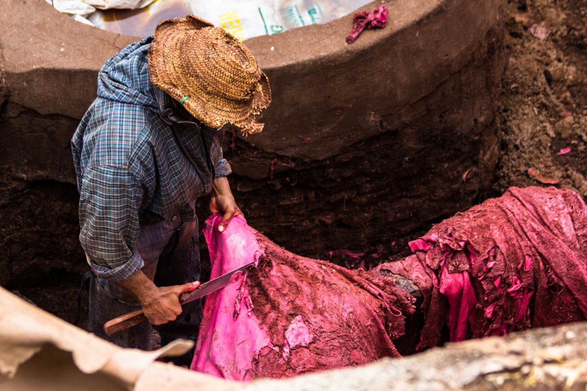 The tanneries of Fes