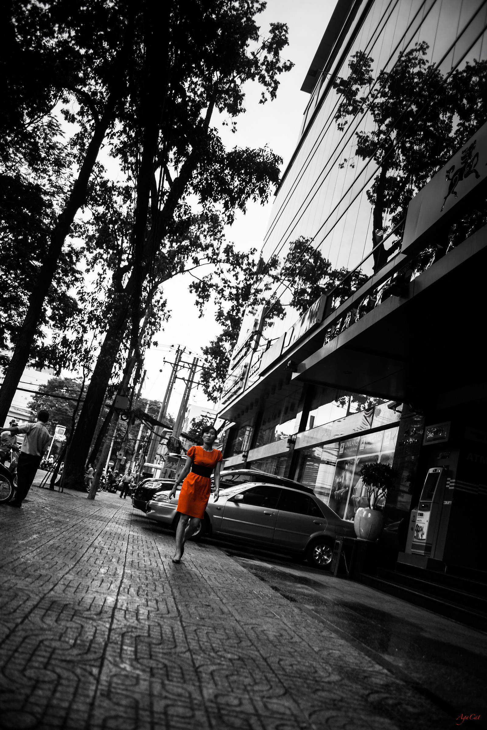 Orange in Ho Chi Minh City