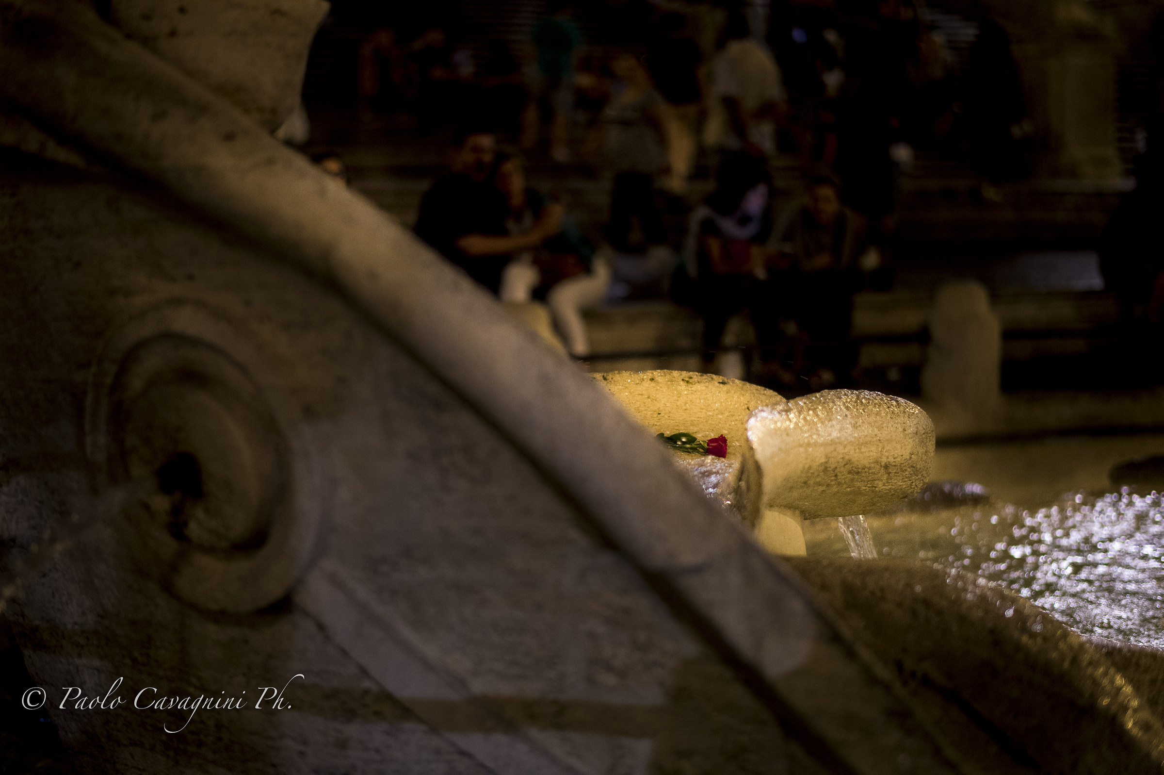 C'era una volta, una rosa in Piazza di Spagna