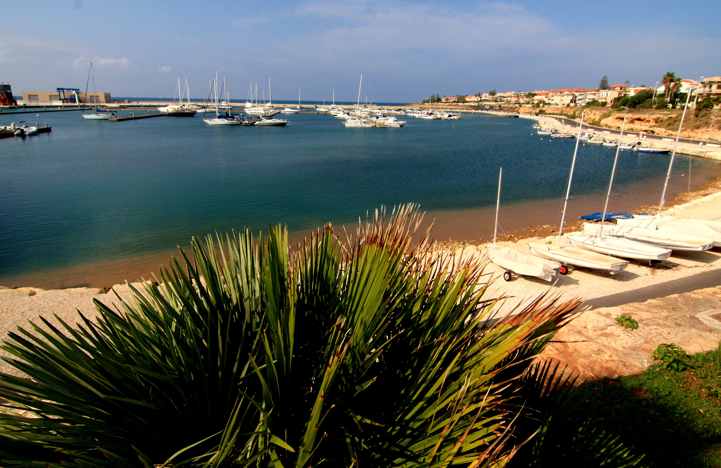 The port of Marina di RG