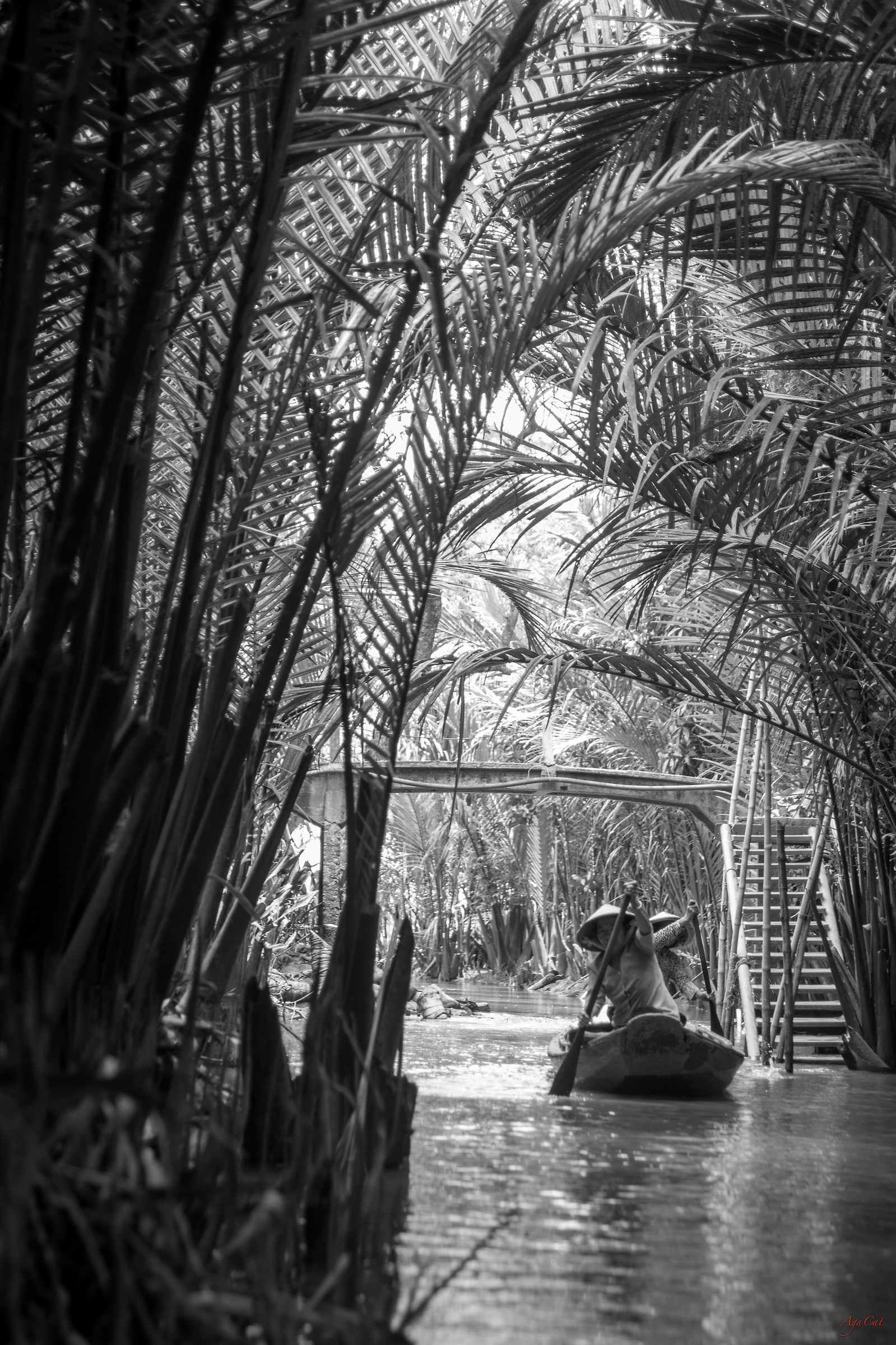 III Mekong - Vietnam