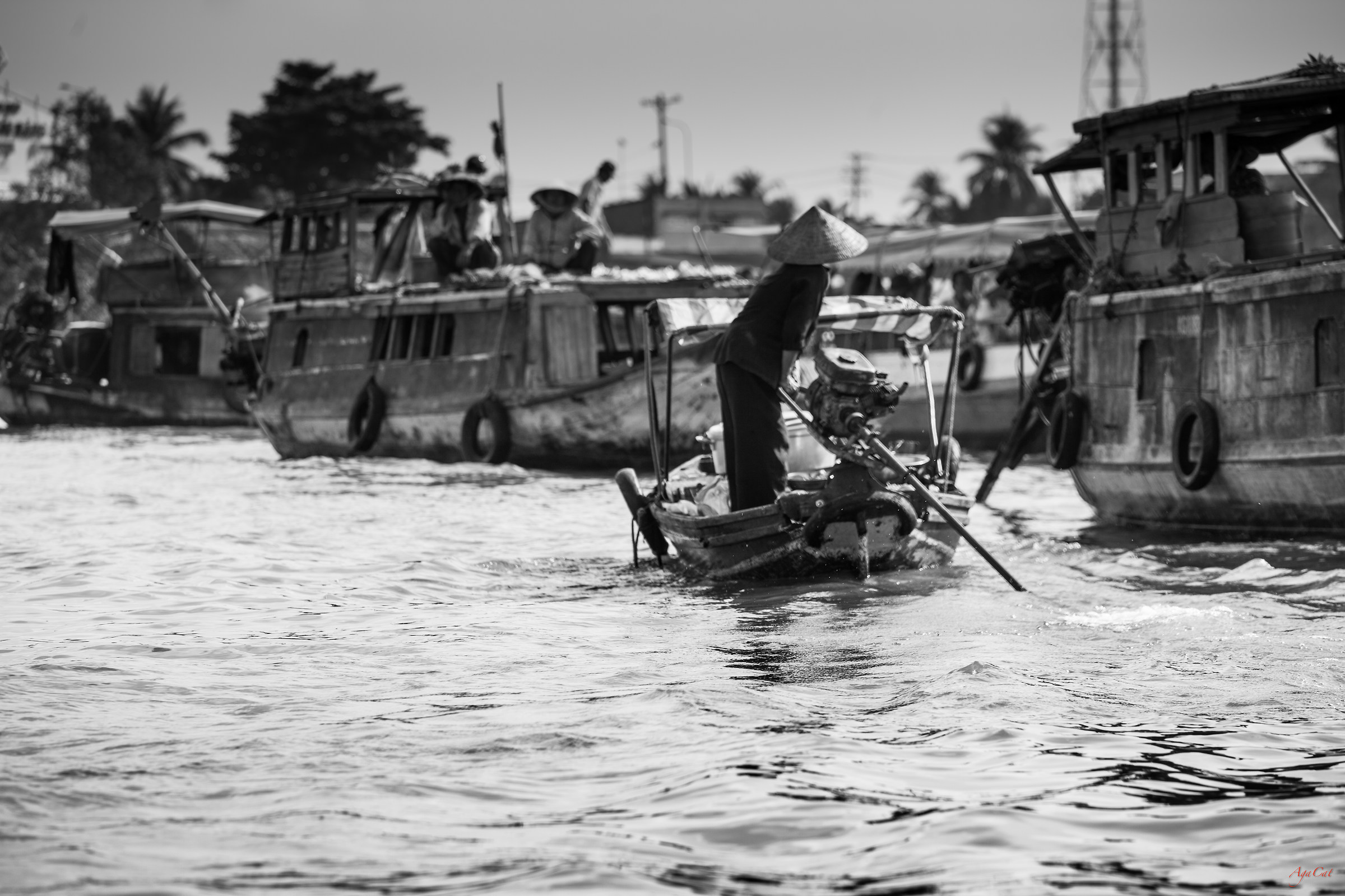 IV Mekong - Vietnam