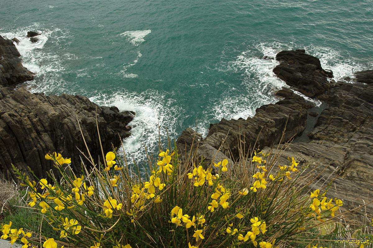 Fra Riomaggiore e Manarola