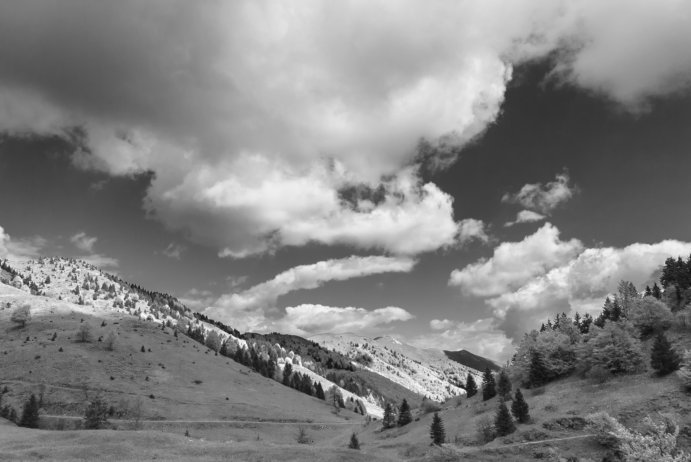 B/N Verso il Monte Grappa