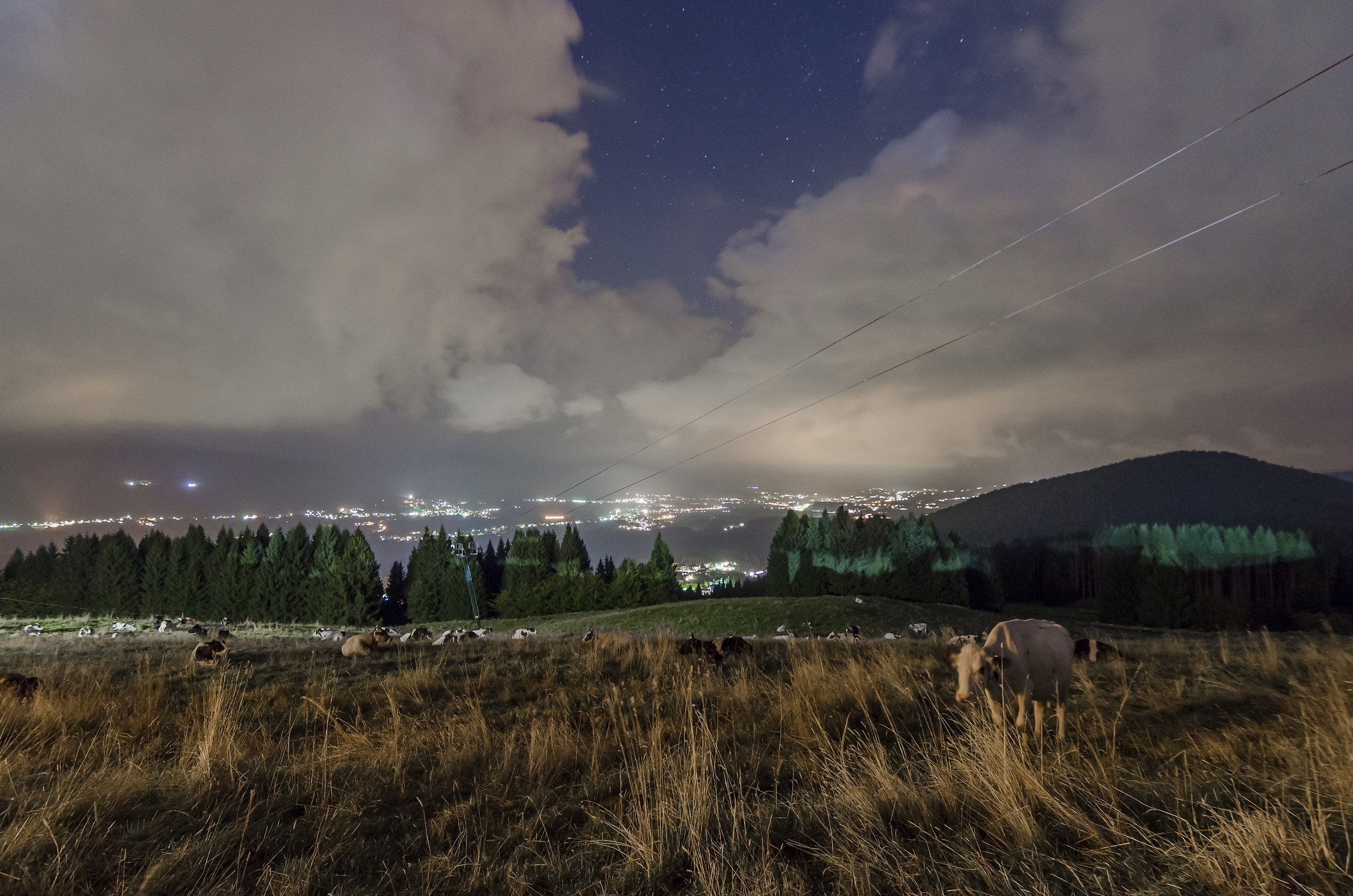 notte al pascolo