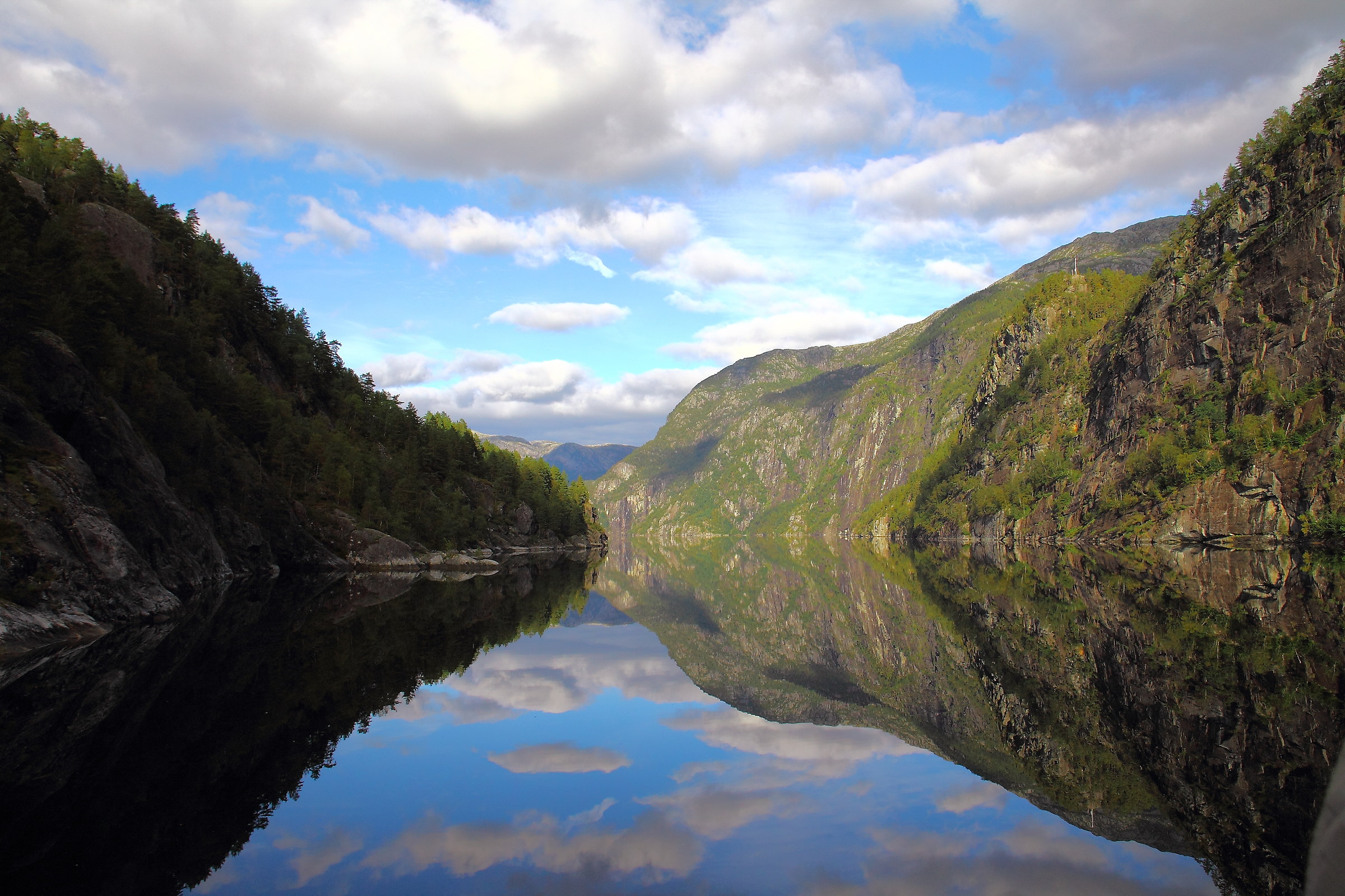 Fjord Cruise to Mostraumen