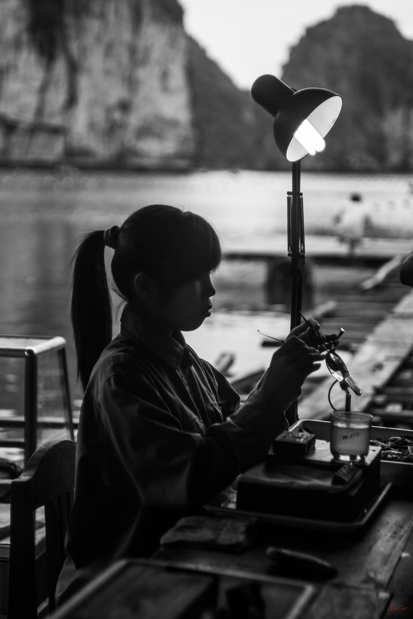 Halong Bay - Vietnam