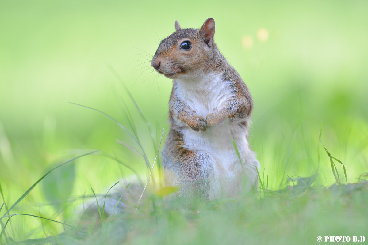 beautiful and impossible