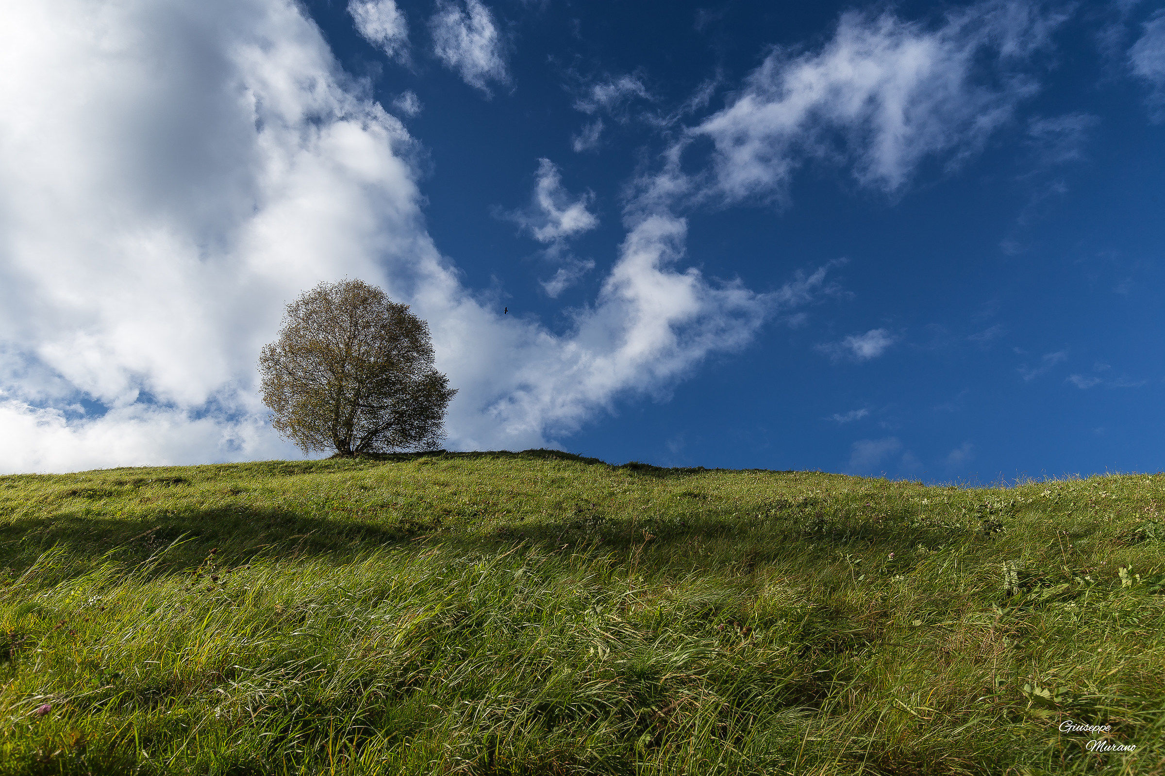 In compagnia del vento..